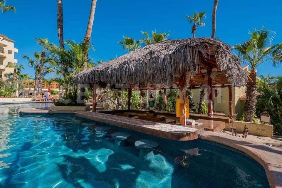 Cabo Oasis - Cabo Oasis — 13