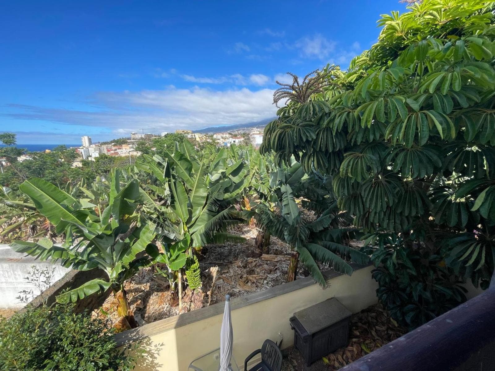 apartamento Vistamar — 4