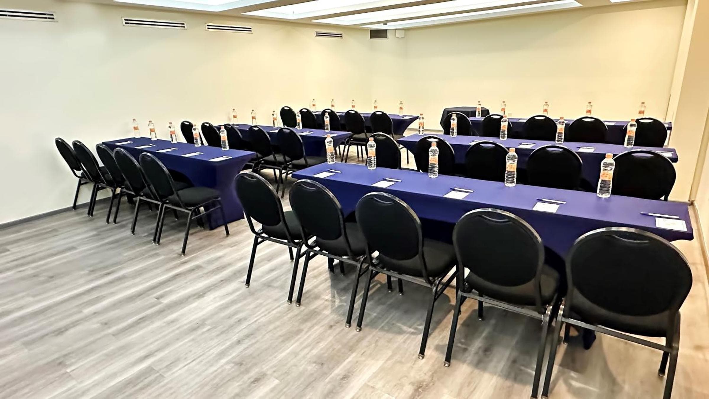 Hotel Ritz Ciudad de México — 12
