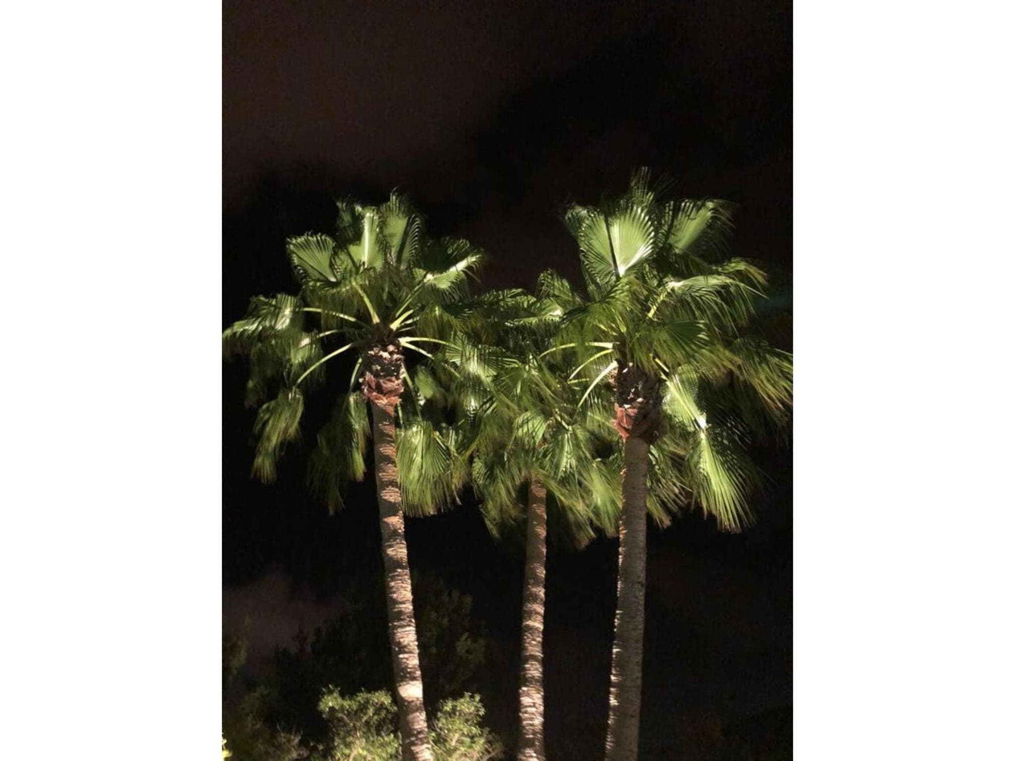 Villa Des Riu — 3