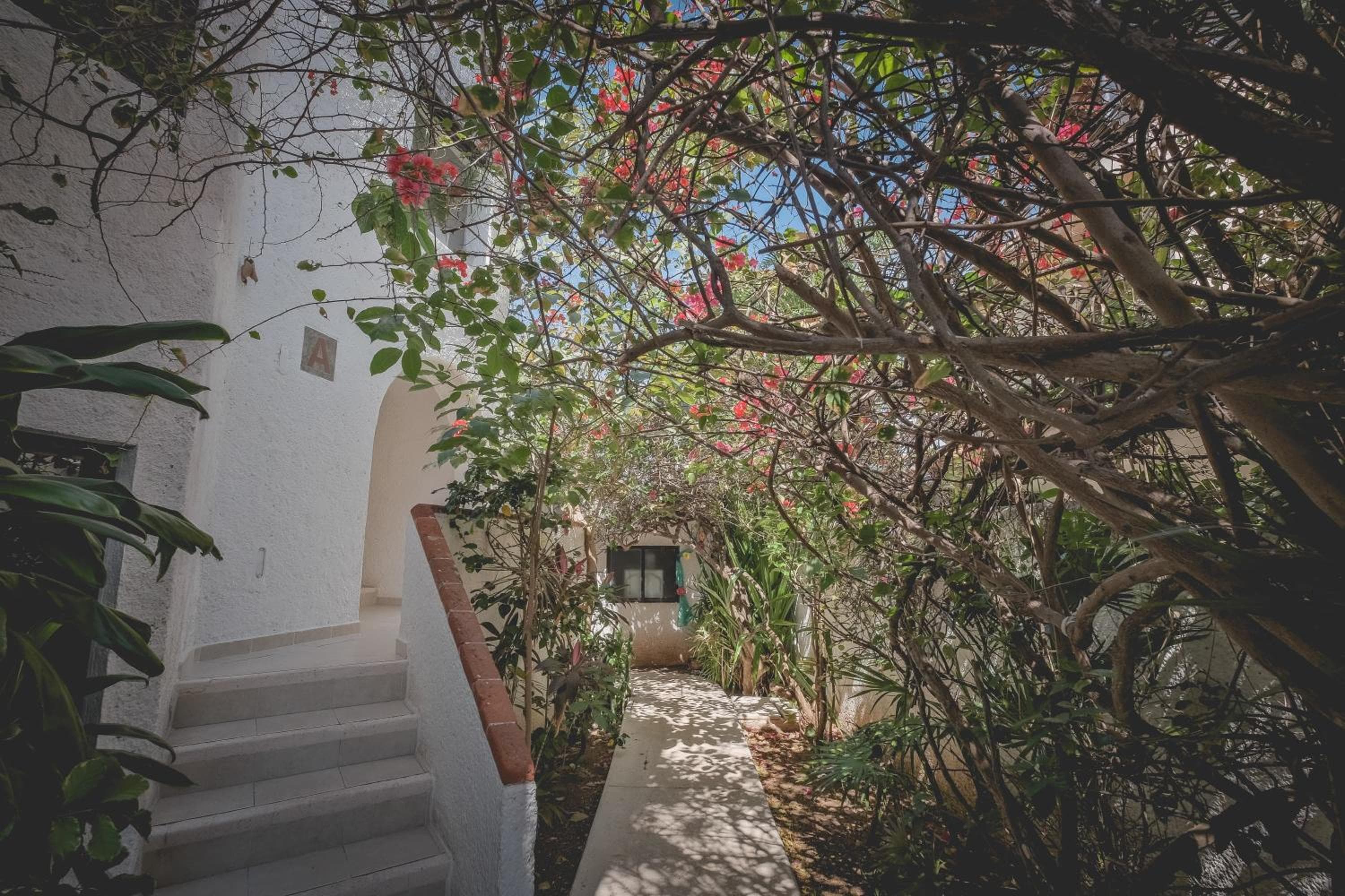 Sotavento Hotel & Yacht Club — 23