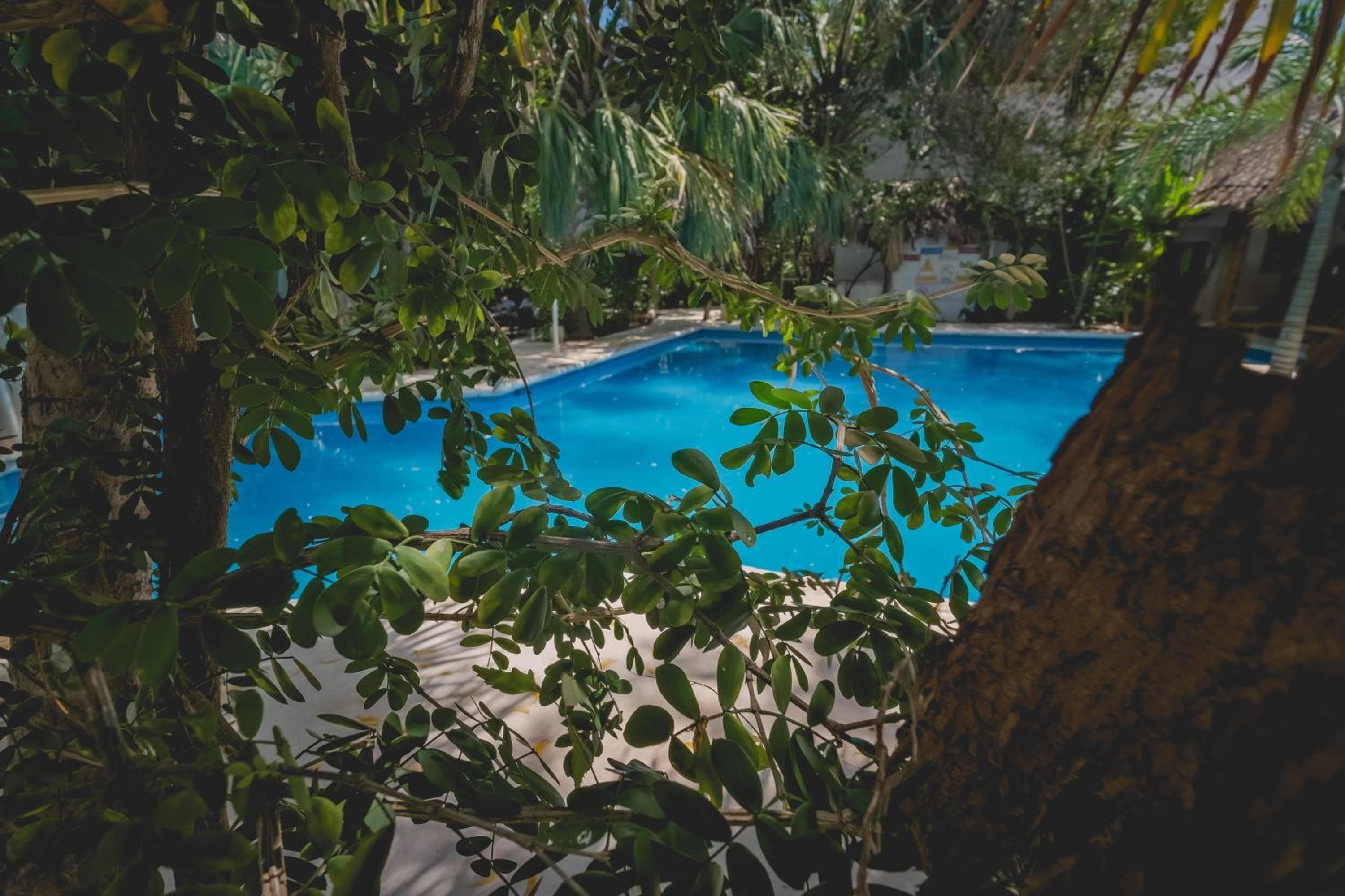 Sotavento Hotel & Yacht Club — 24