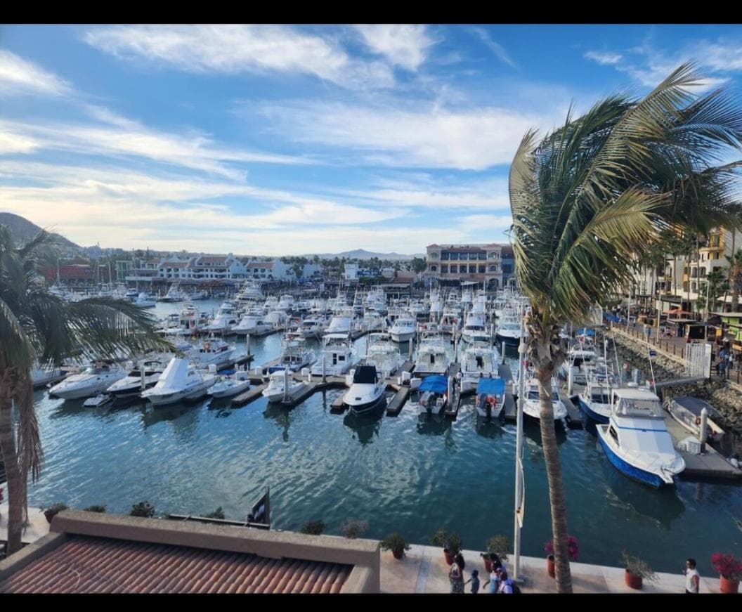 Marina Cabo Plaza - Marina Cabo Plaza — 19