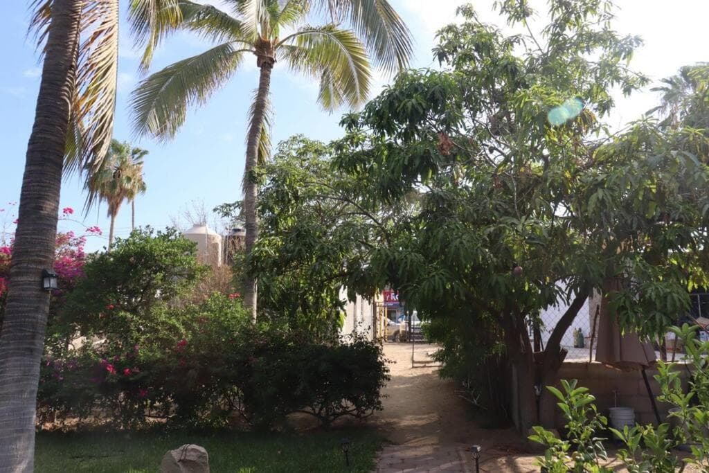 Bungalow Los Cabos — 16