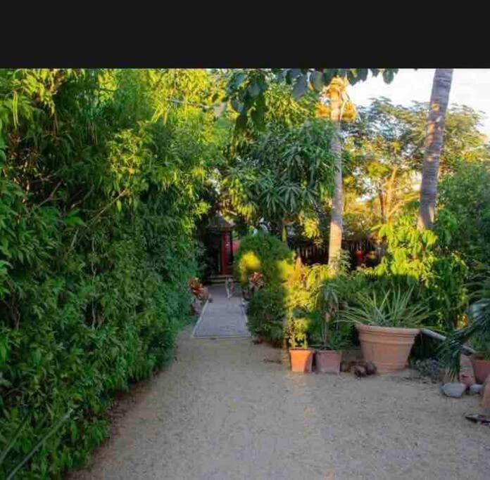 Bungalow Los Cabos — 14