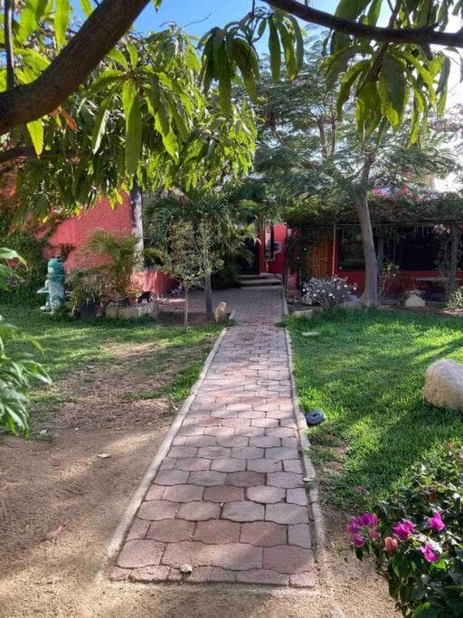 Bungalow Los Cabos — 22