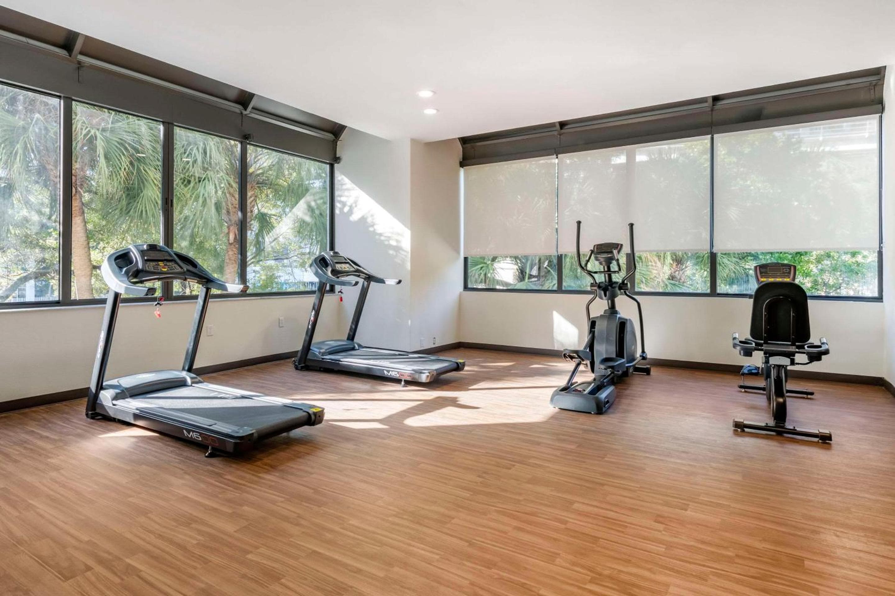 Comfort Inn & Suites Downtown Brickell-Porto di Miami — 29