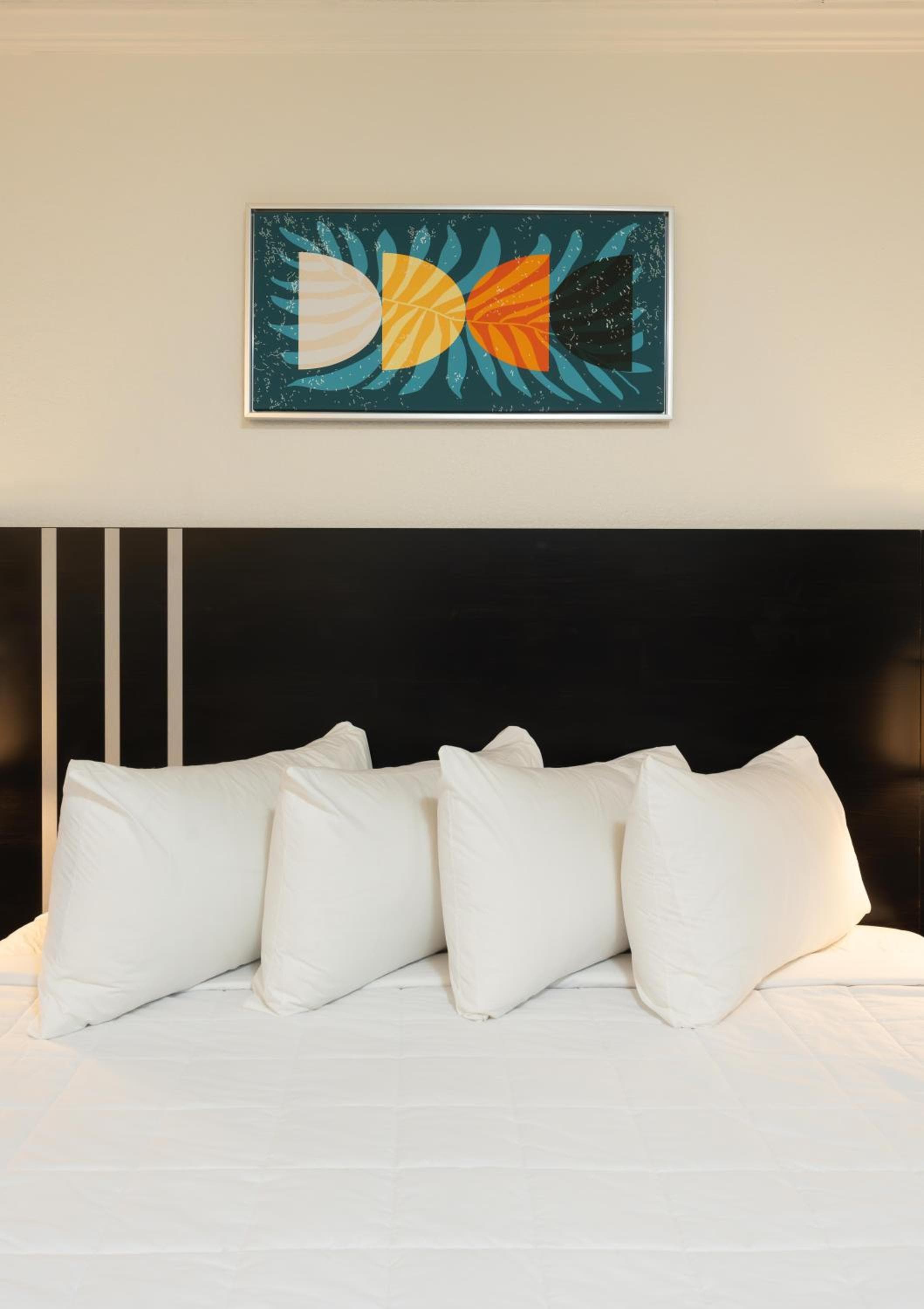 OASIS BAY SUITES, Tampa, Busch Gardens, USF — 24