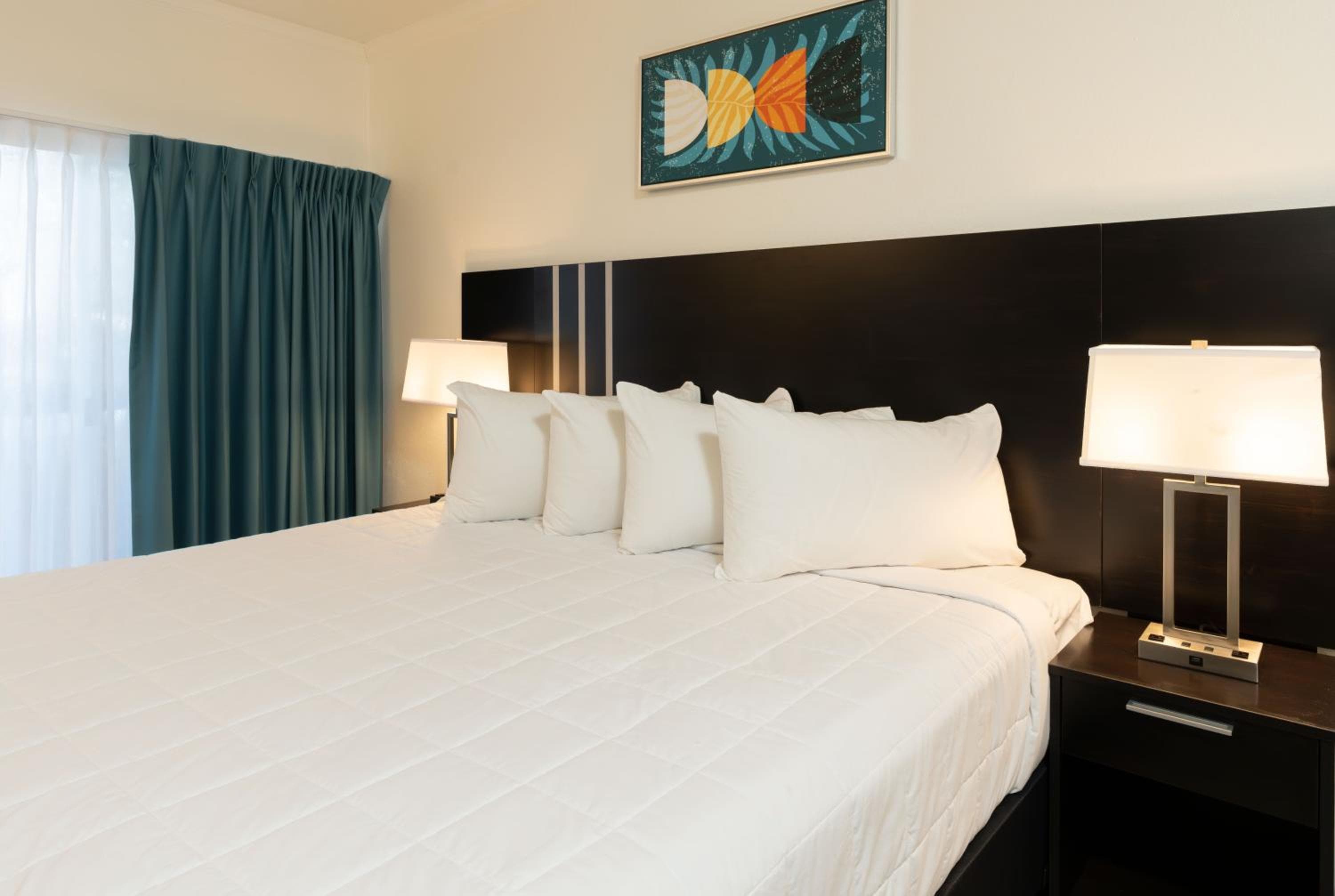 OASIS BAY SUITES, Tampa, Busch Gardens, USF — 15