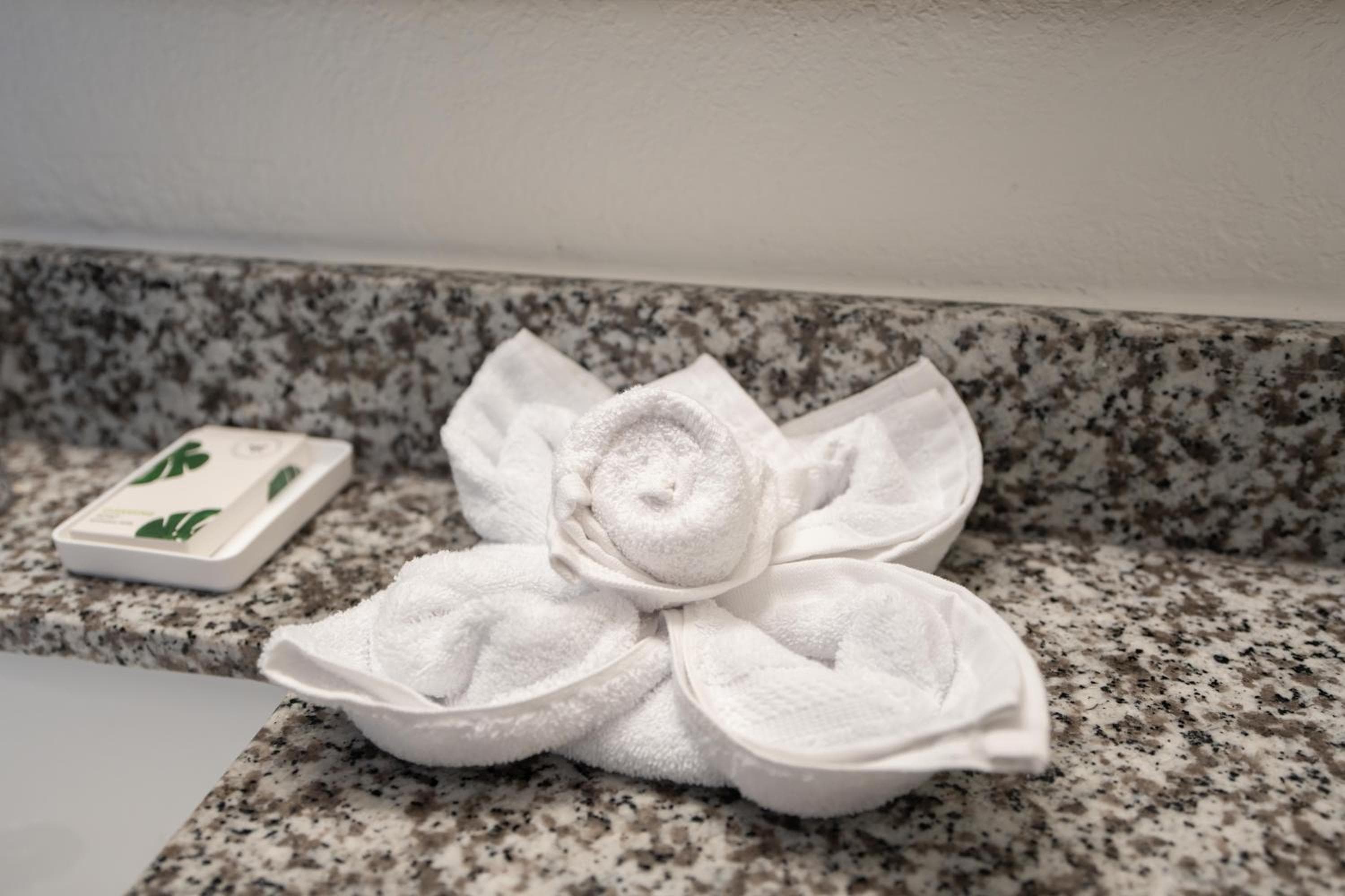 OASIS BAY SUITES, Tampa, Busch Gardens, USF — 29