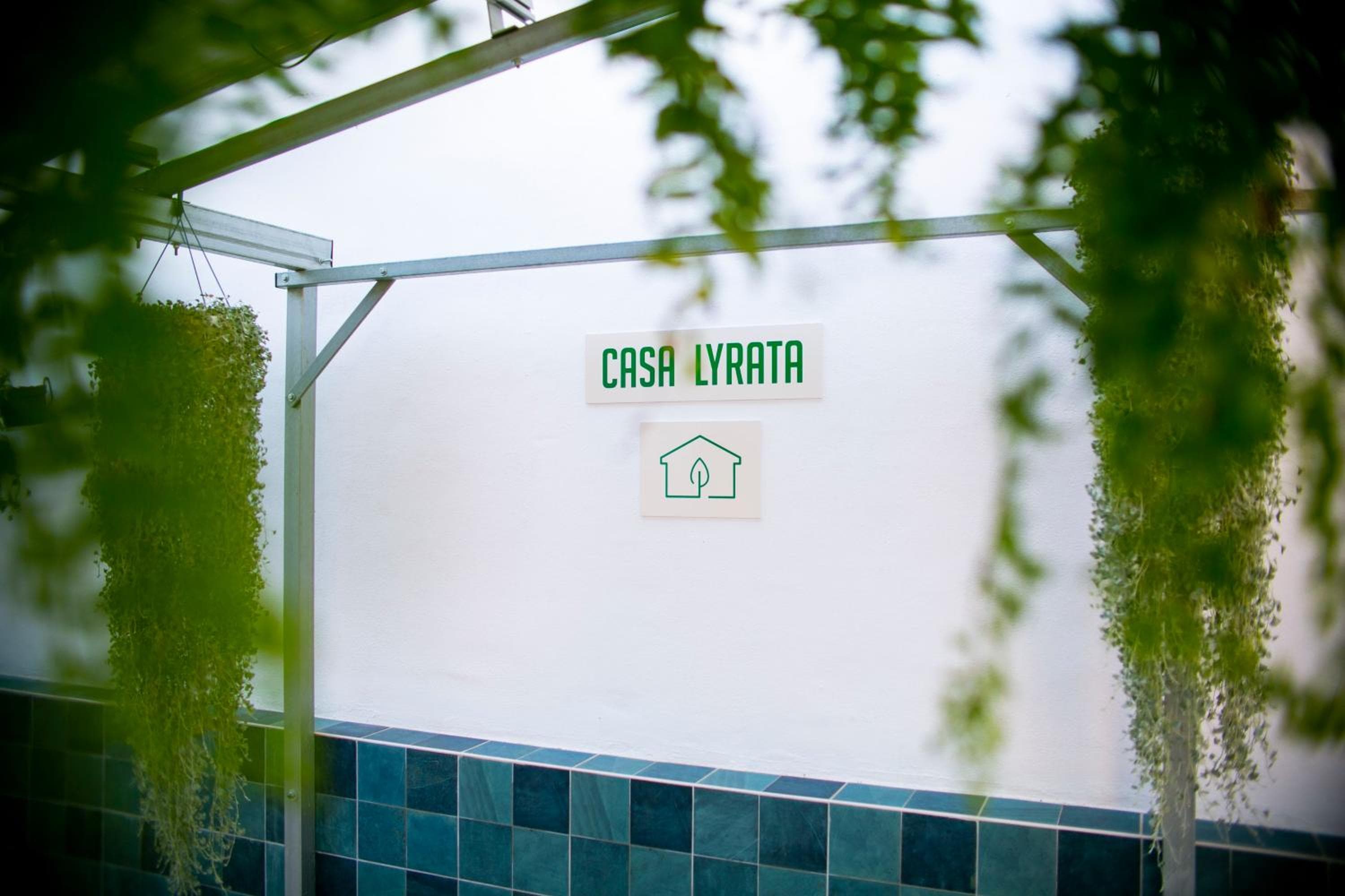 Casa Lyrata Comfort & Design — 30