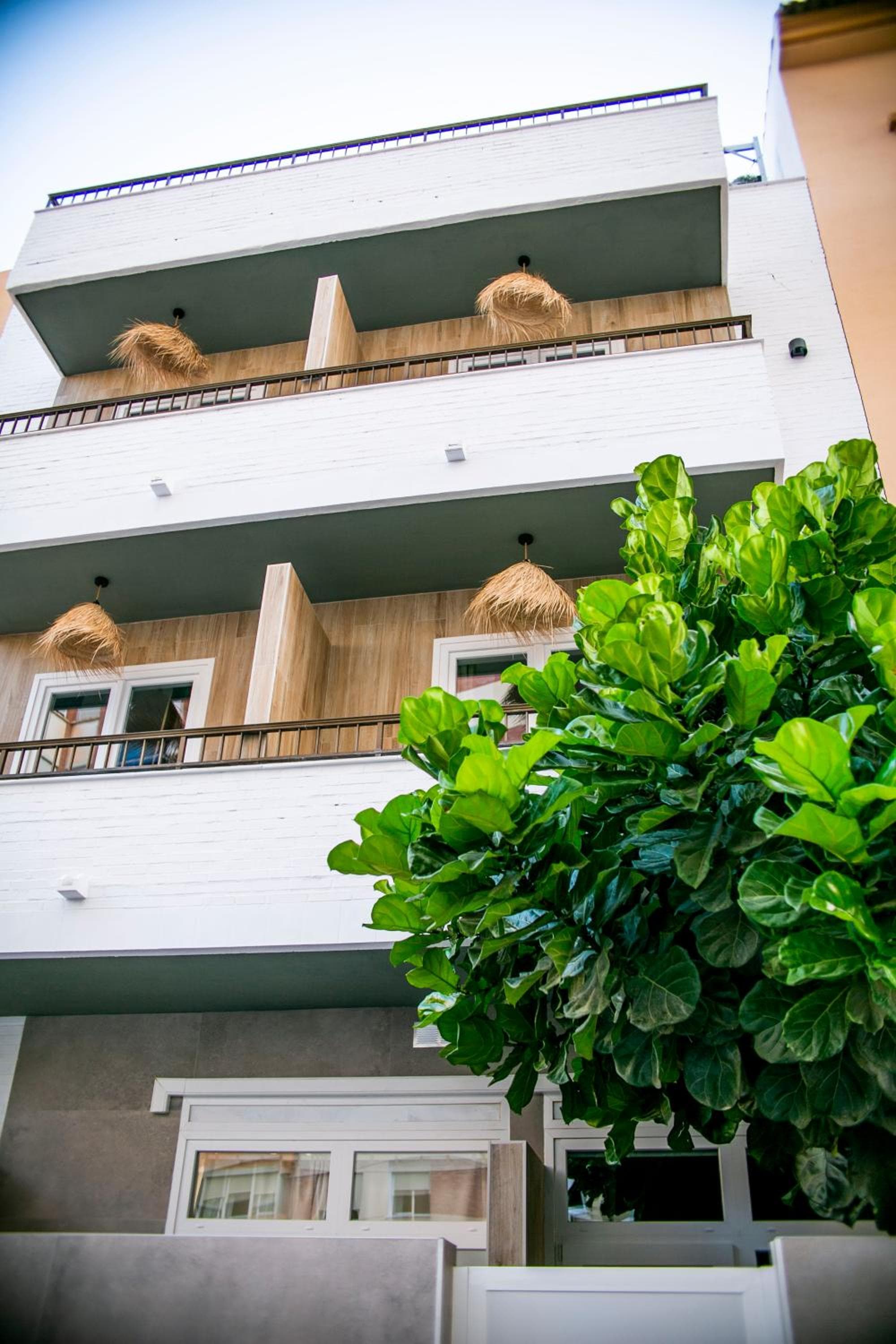 Casa Lyrata Comfort & Design — 1