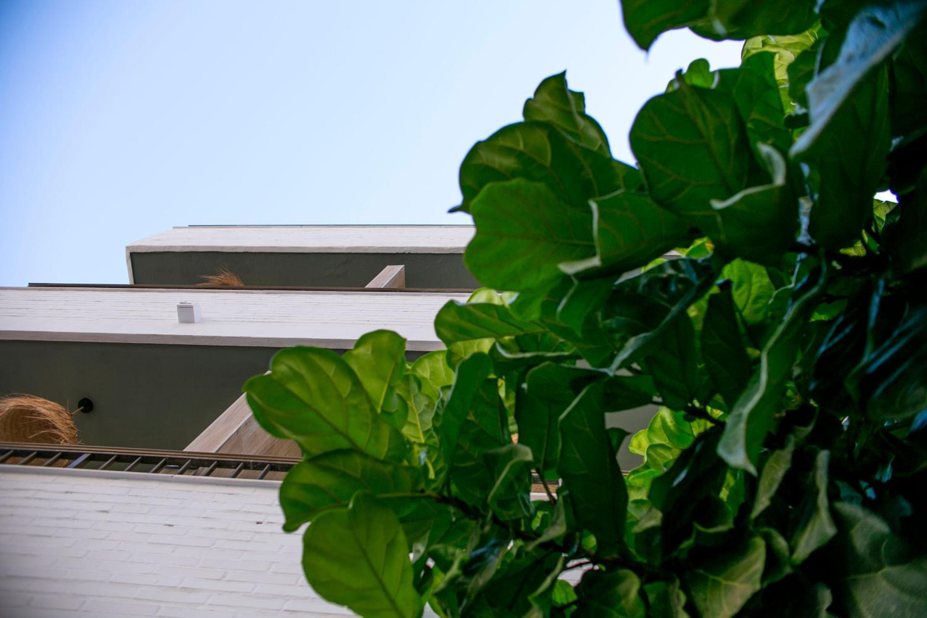 Casa Lyrata Comfort & Design — 22