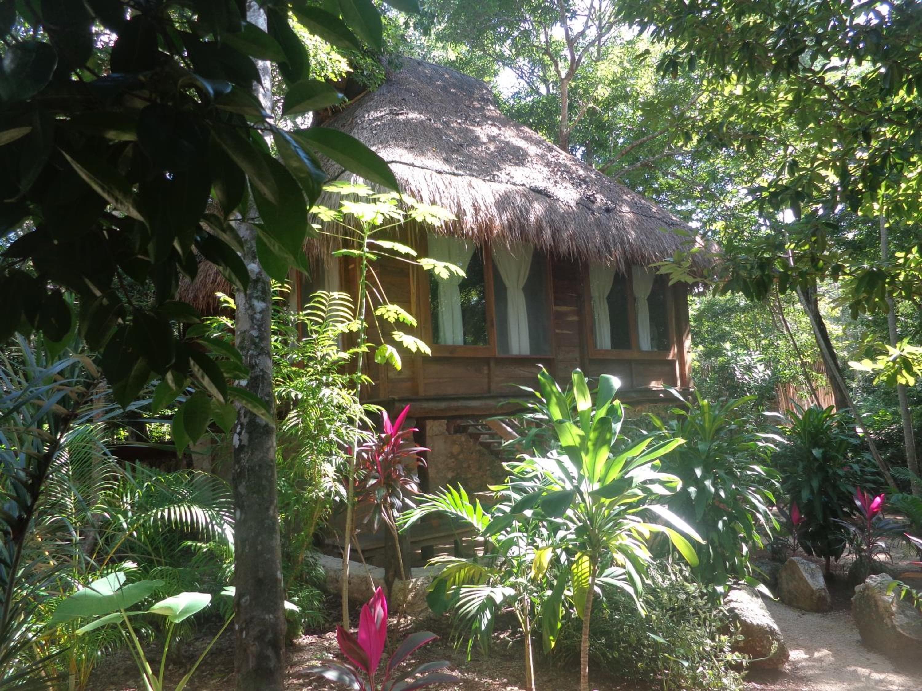 Casa Mango — 16