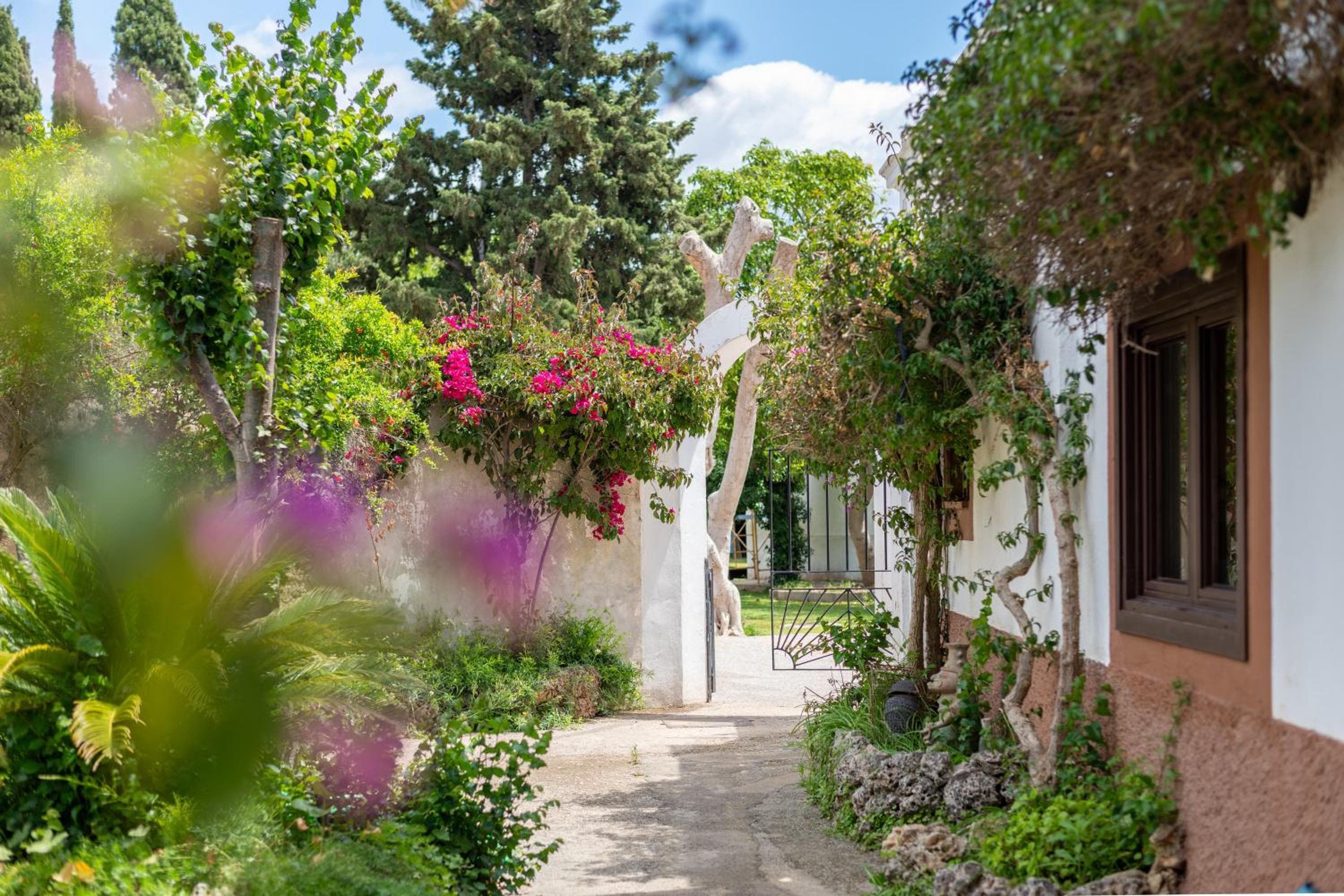 Moli dels Reis — 30