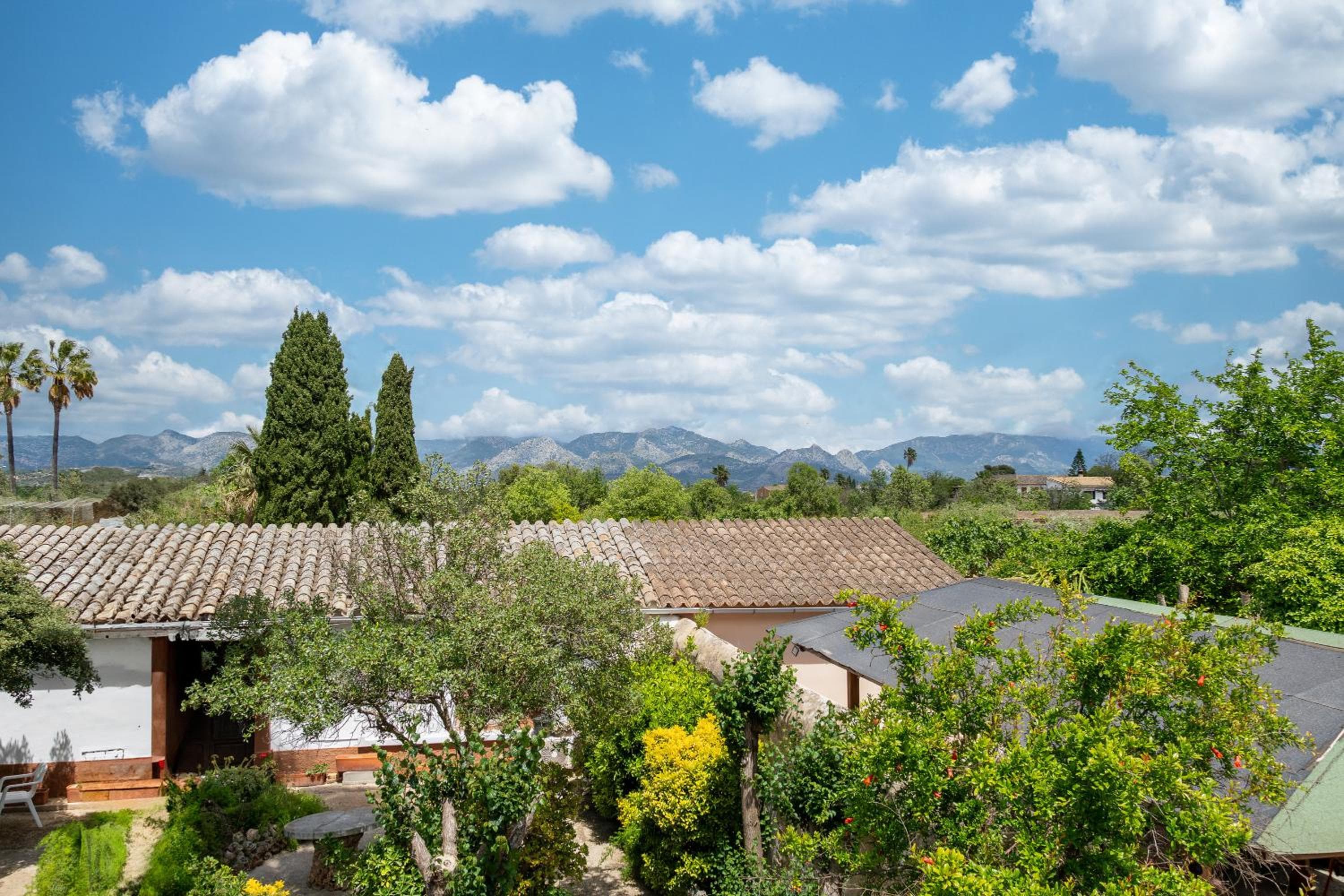 Moli dels Reis — 24