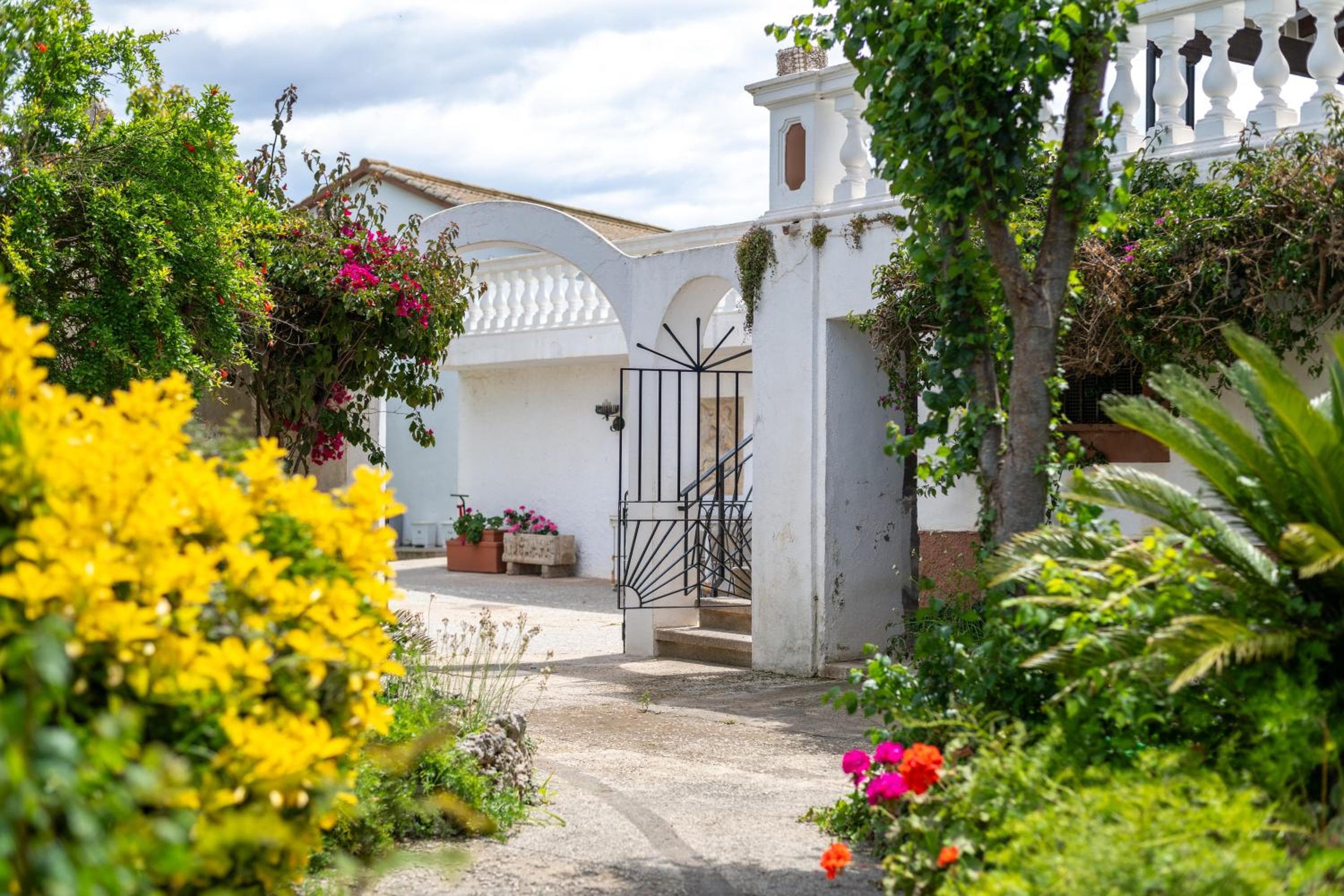Moli dels Reis — 4
