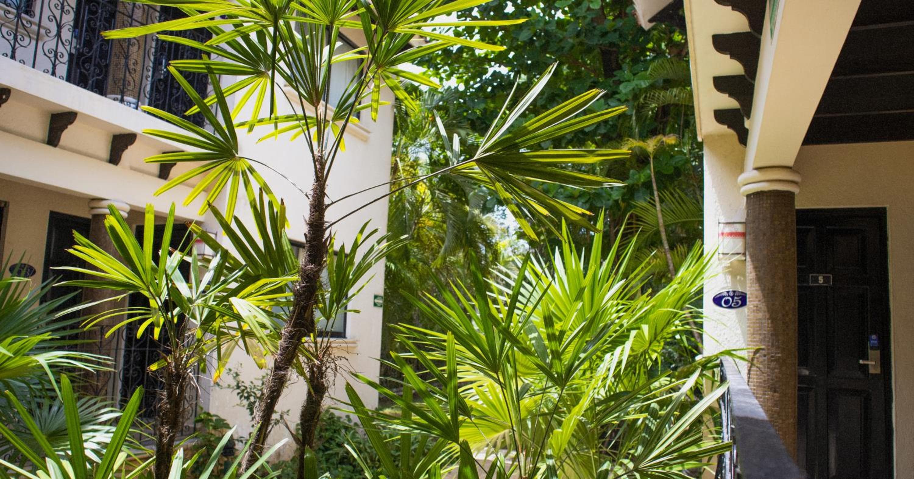 Quinta Nina Playa del Carmen - Solo Adultos — 22