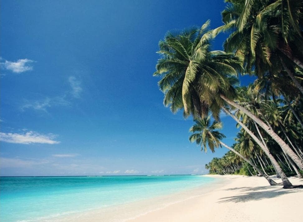 Luxury Coral Dream — 28