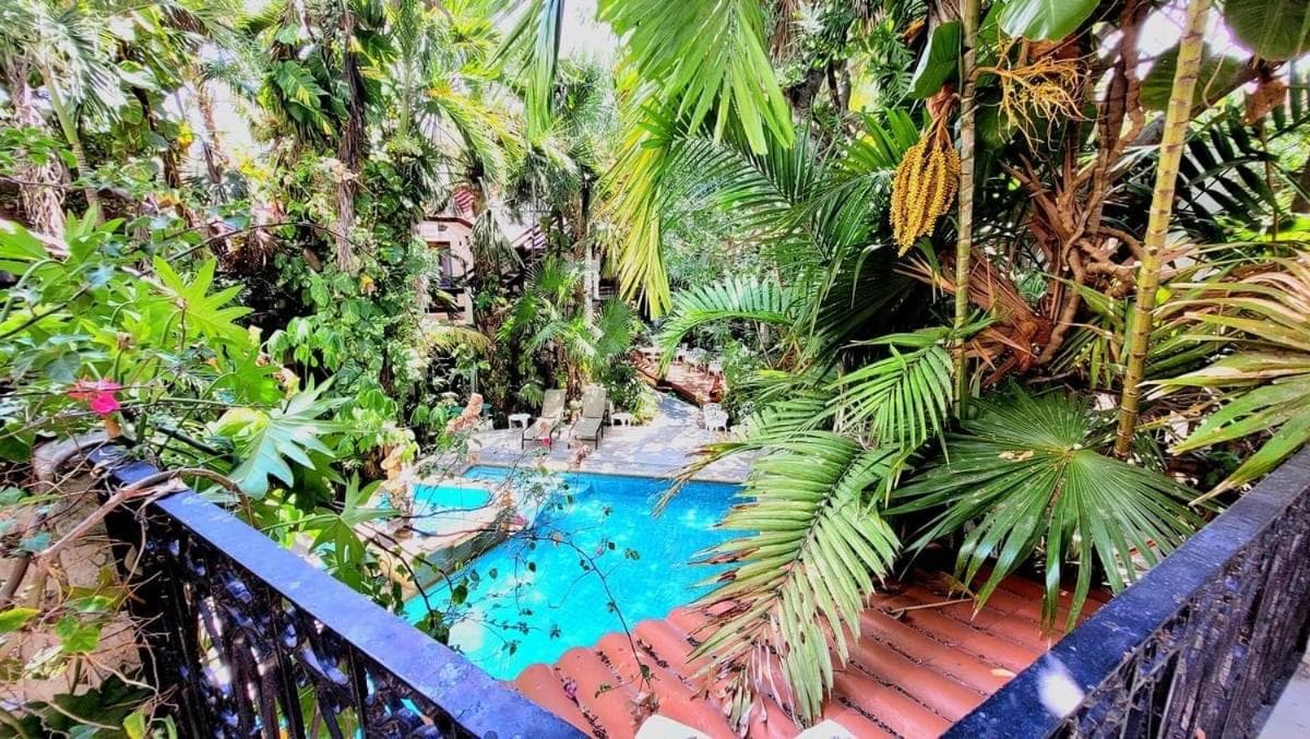 Eco-hotel El Rey del Caribe — 17