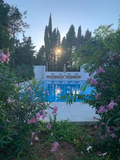 Villa en zona Playa D'en Bossa con gran piscina — 21