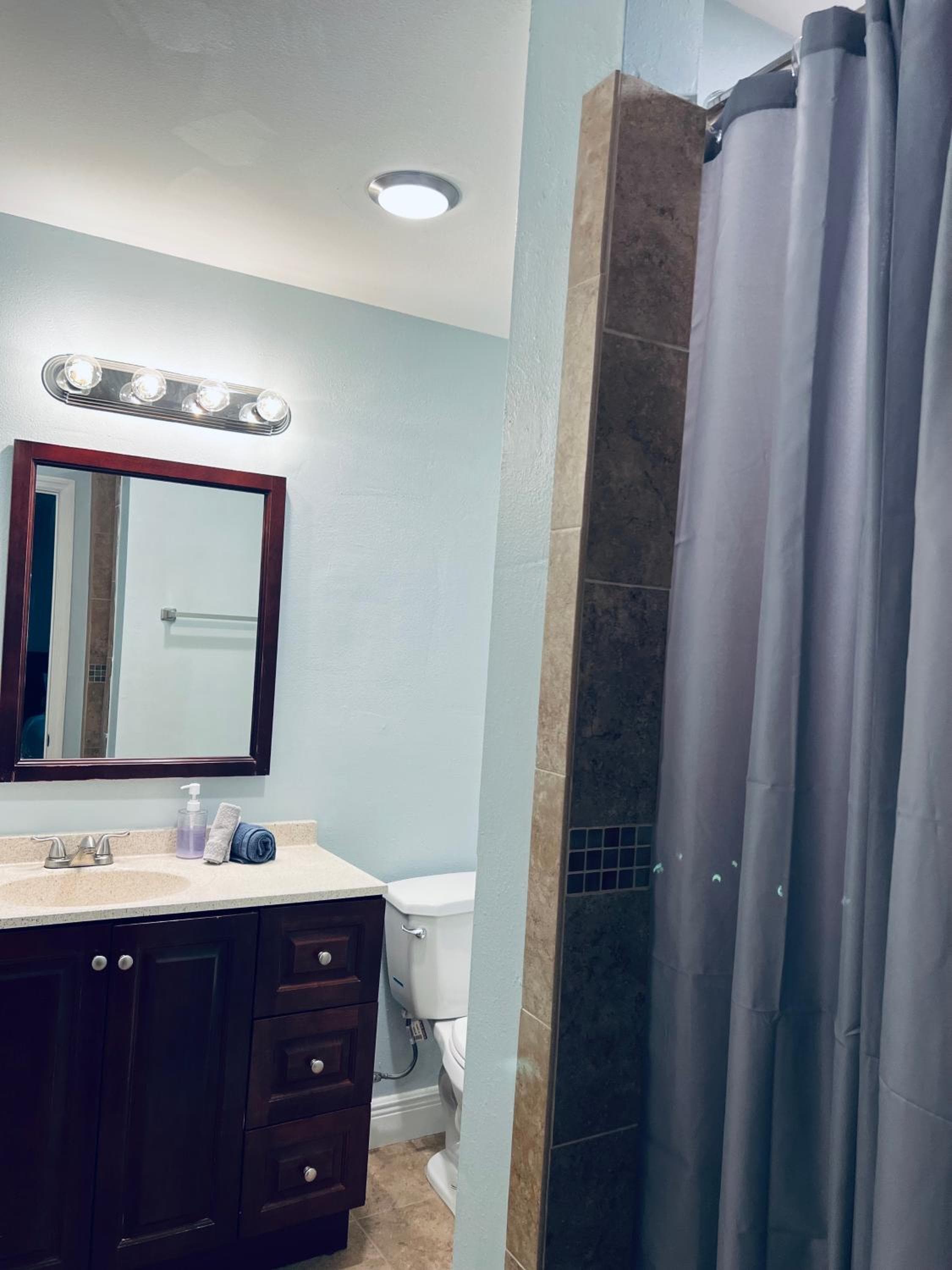 Spacious 4BR Home in Tampa Near Busch Gardens — 17