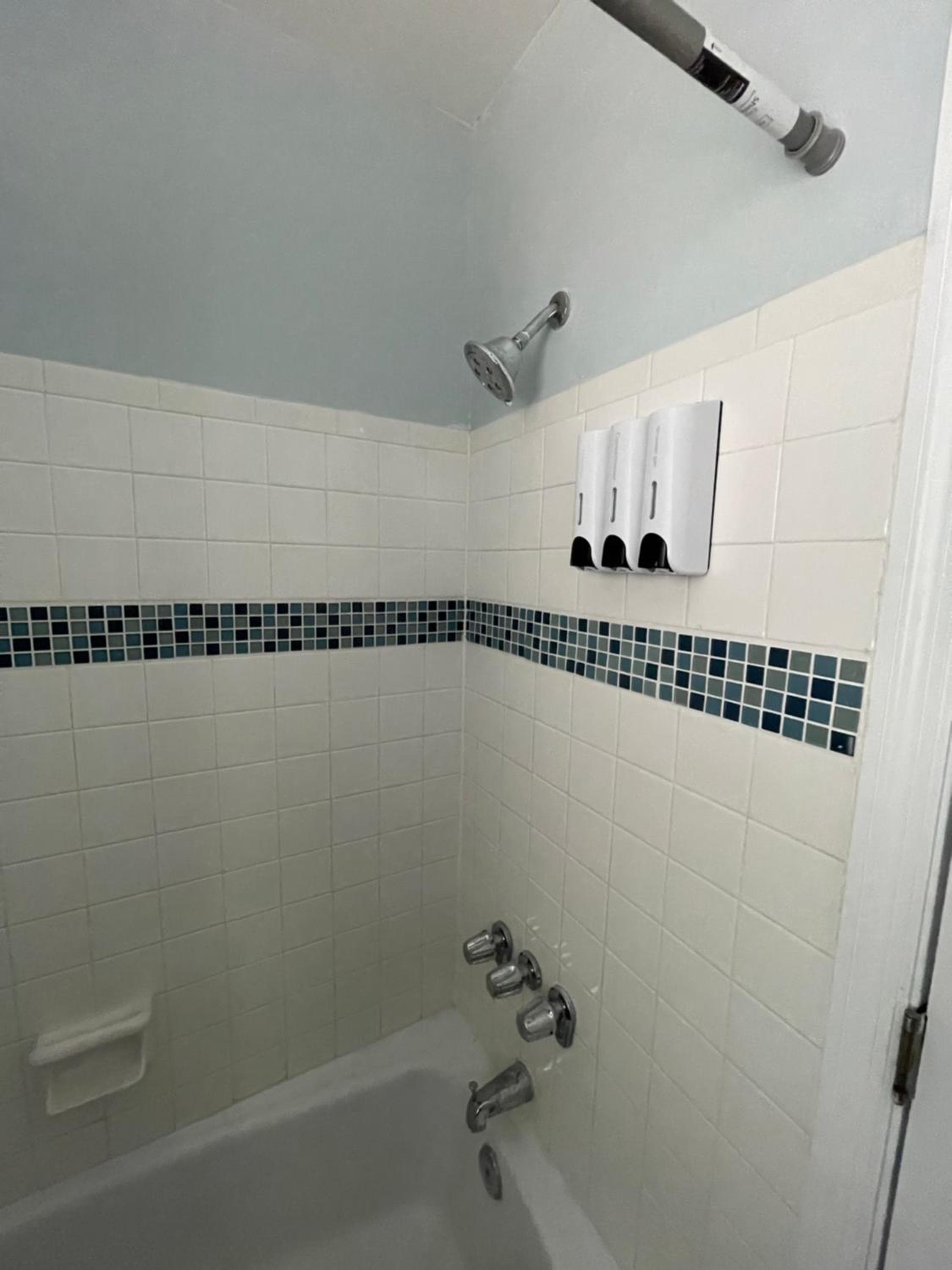 Spacious 4BR Home in Tampa Near Busch Gardens — 5