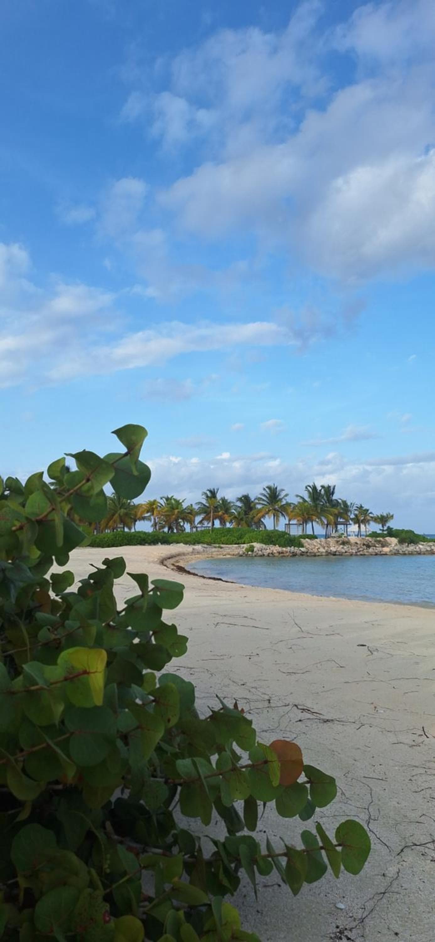 Apartamento nuevo Cap Cana — 20