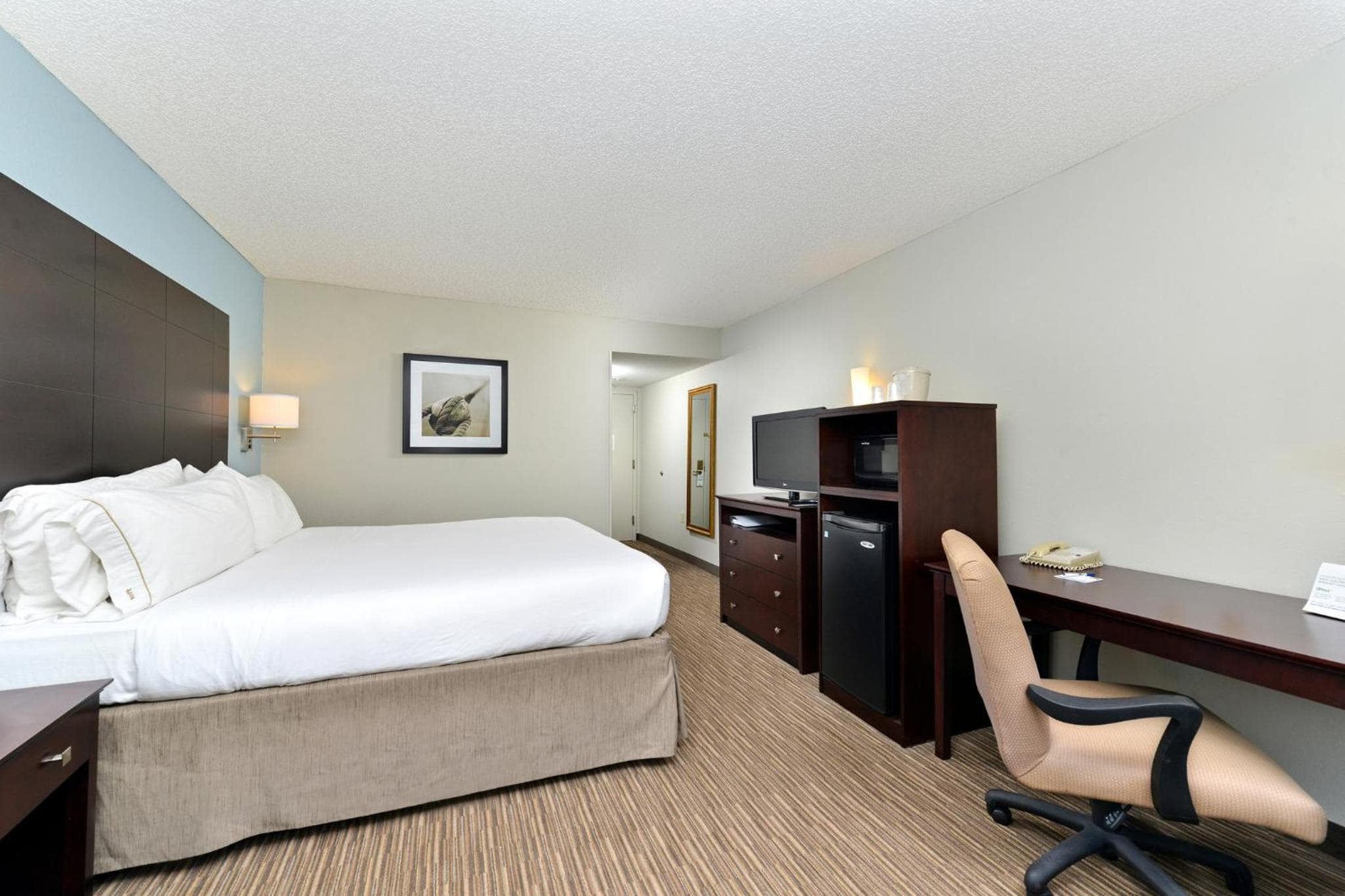 Holiday Inn Express Hotel & Suites Tampa-Rocky Point Island, un hotel IHG — 11