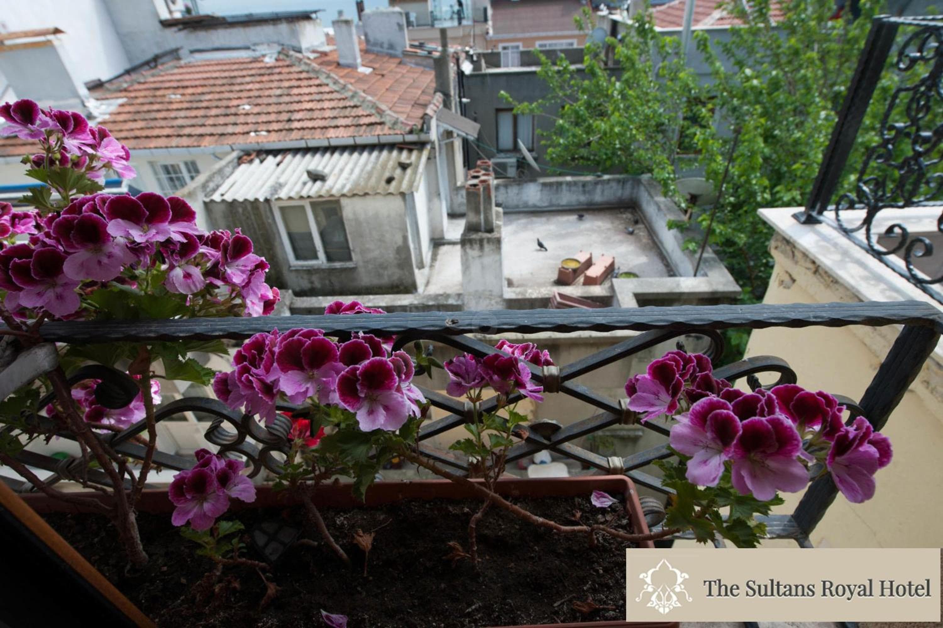 Sultani Royal Hotel — 25