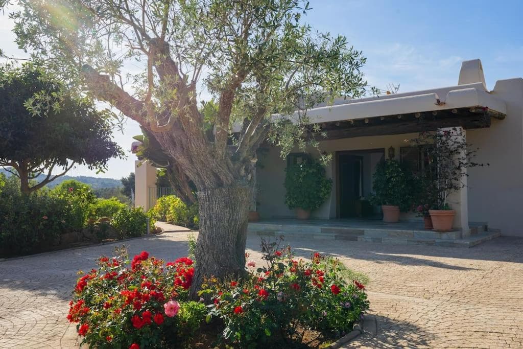 Villa Kety - Haus mit schöner Pool- und Aussichtslage! — 30