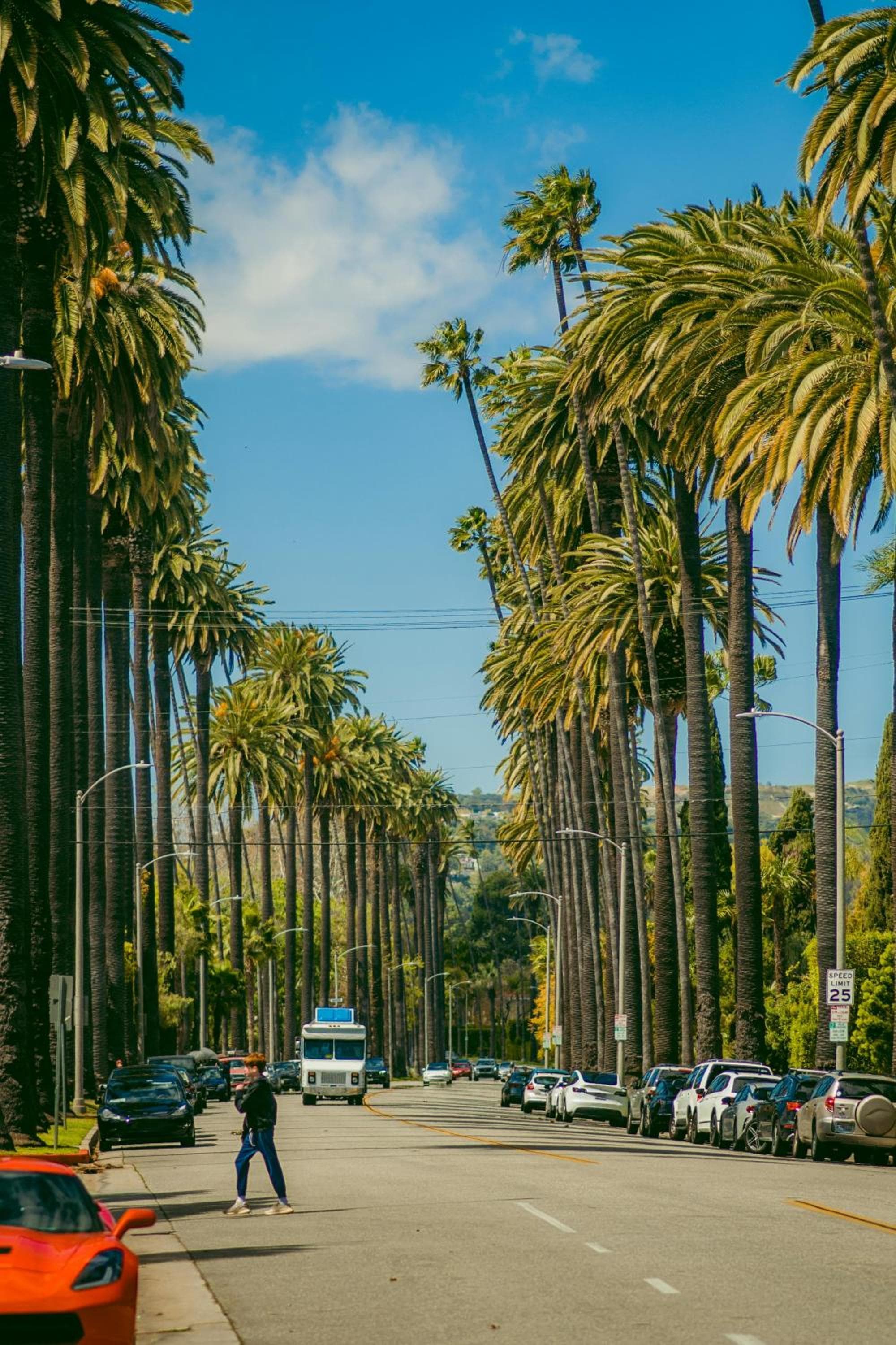 Hollywood CHIC Studio with FREE parking — 3