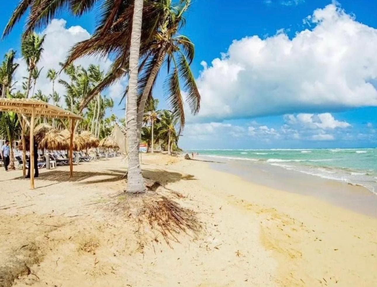 Hotel Playa Palmera Meerblick — 24