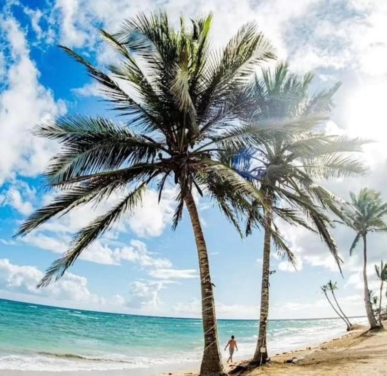 Hotel Playa Palmera Meerblick — 20