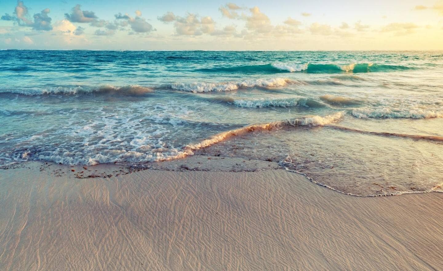 Playa Palmera Ocean View — 22