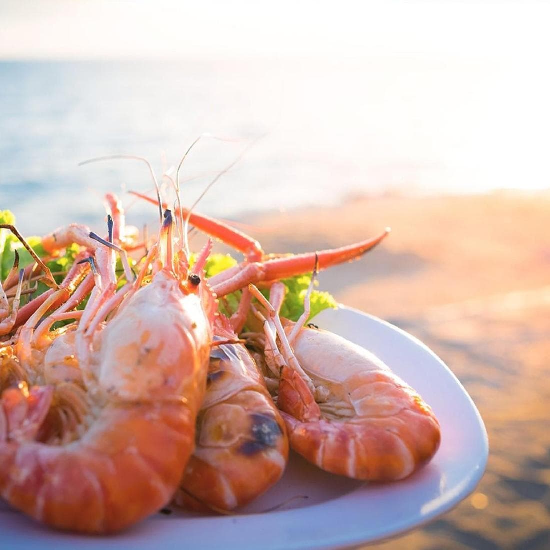 Playa Palmera Ocean View — 11