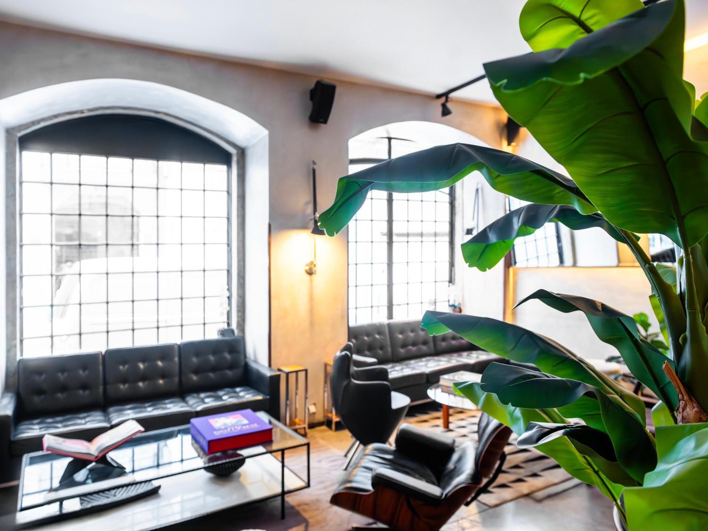 Hotel Browns en el centro — 7
