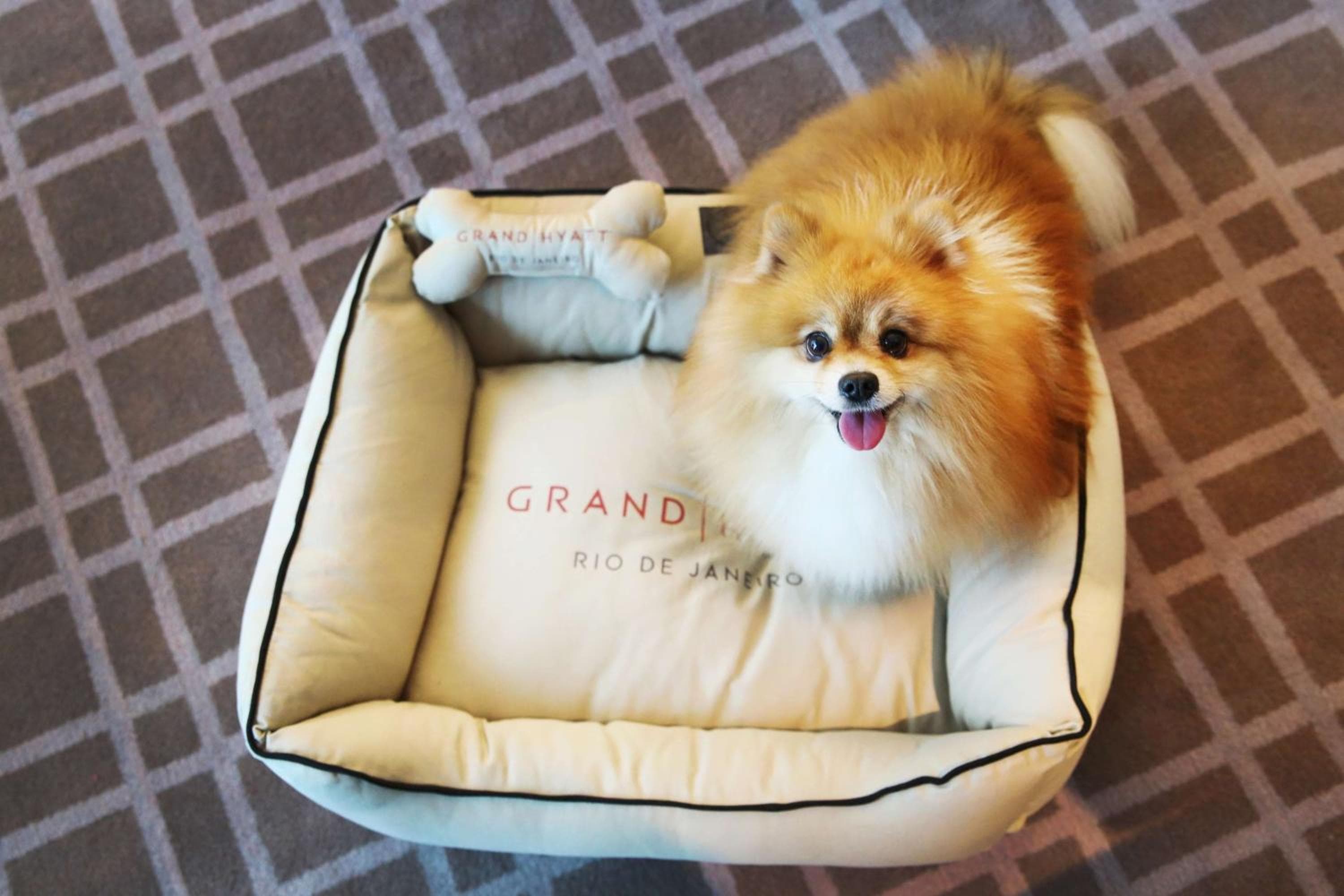 Grand Hyatt Rio de Janeiro hotel, Av. Lúcio Costa, 9600, Rio de Janeiro, Brazil — photo 117