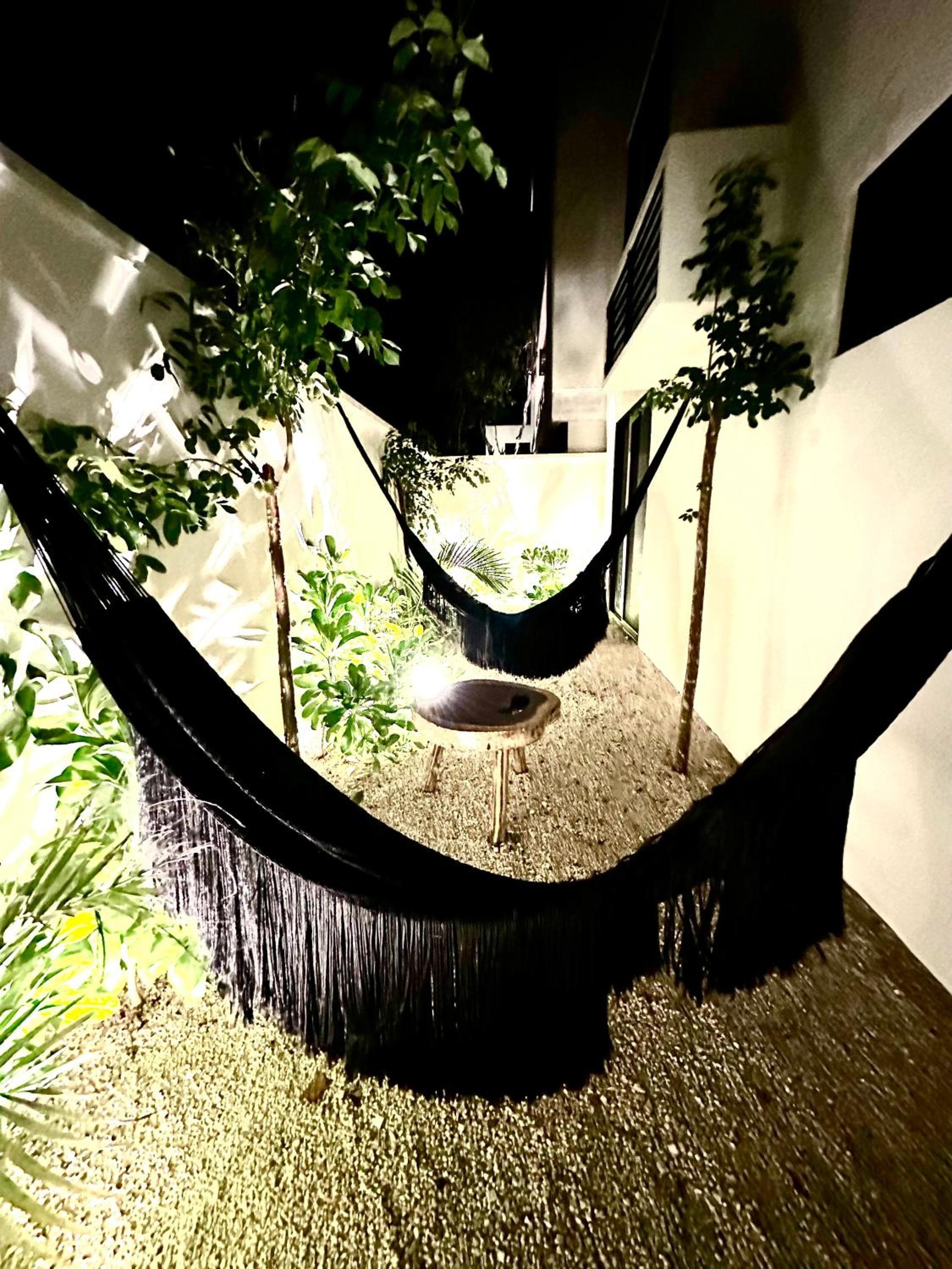 Botánics by Endémico Los Laureles — 17