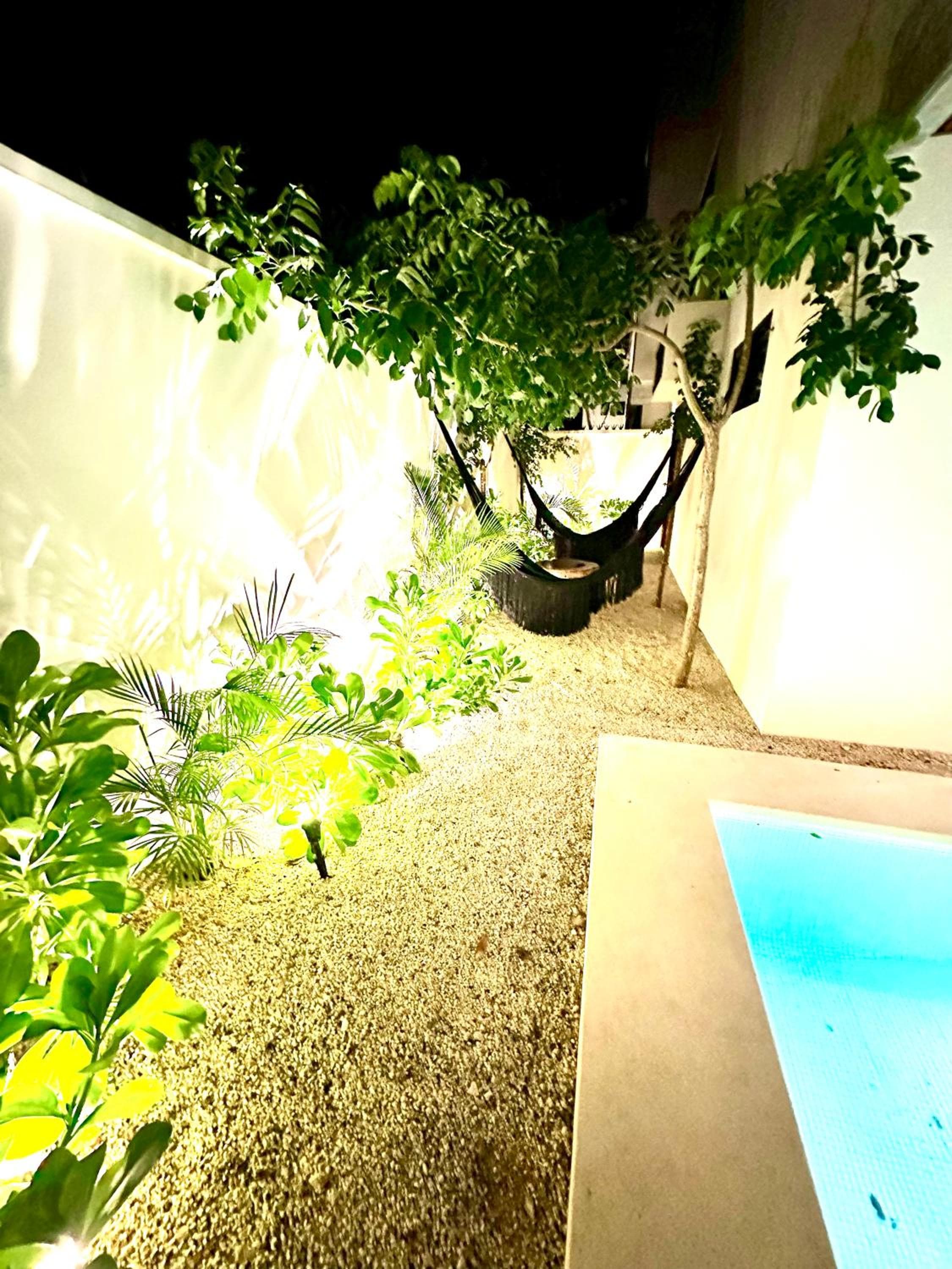 Botánics by Endémico Los Laureles — 12