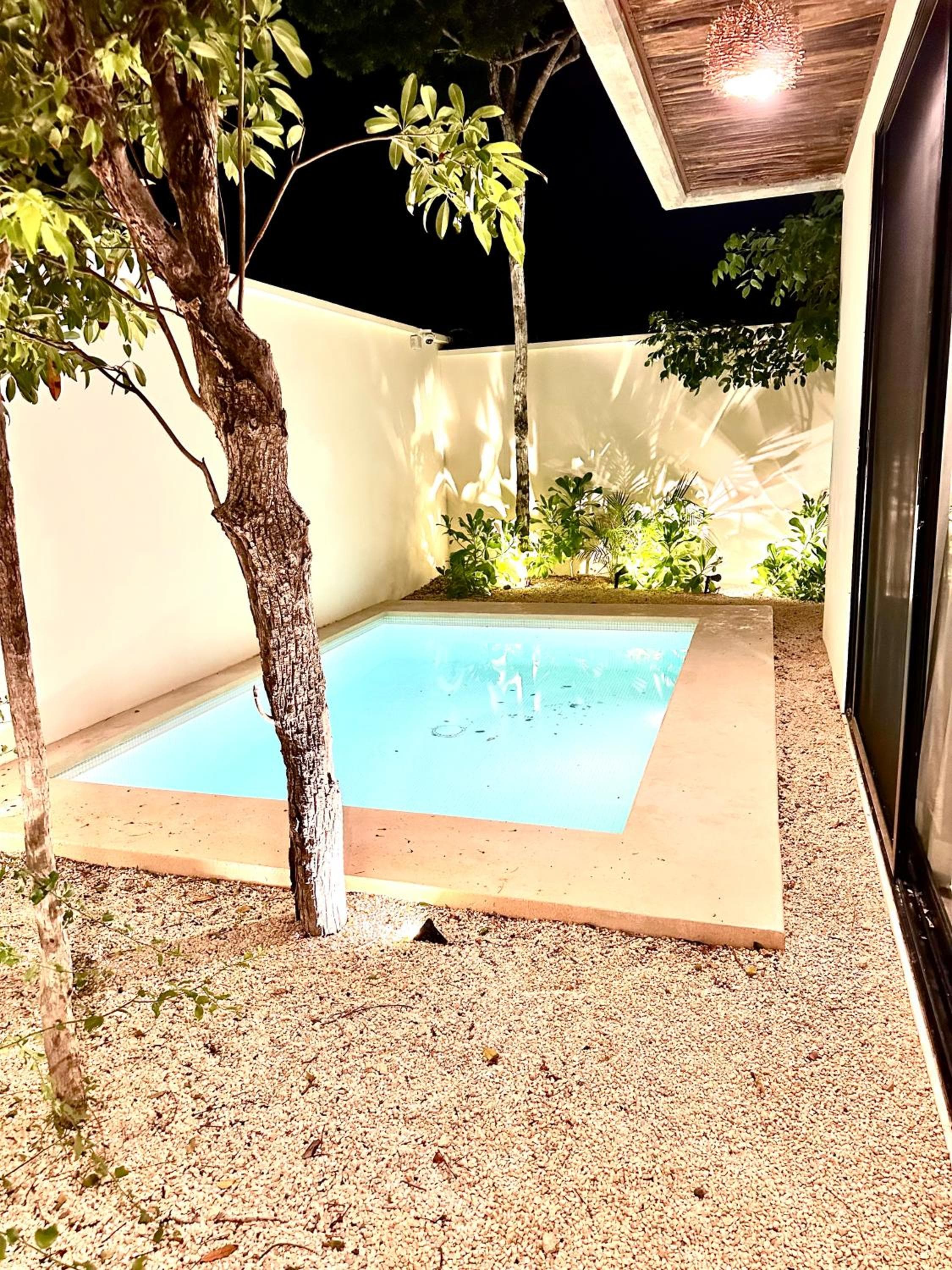 Botánics by Endémico Los Laureles — 6