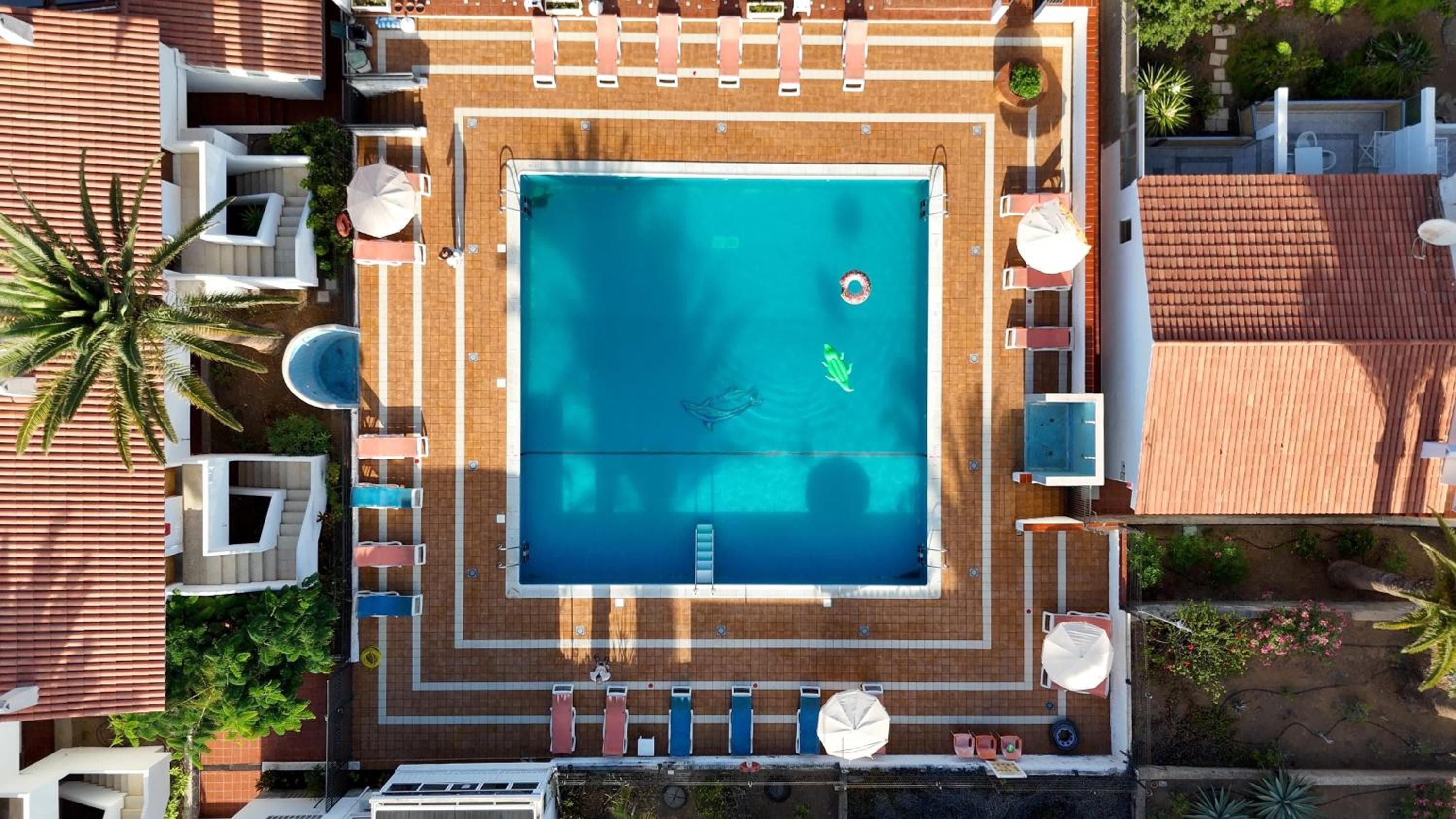 Studio Las Americas Monkey Beach — 1