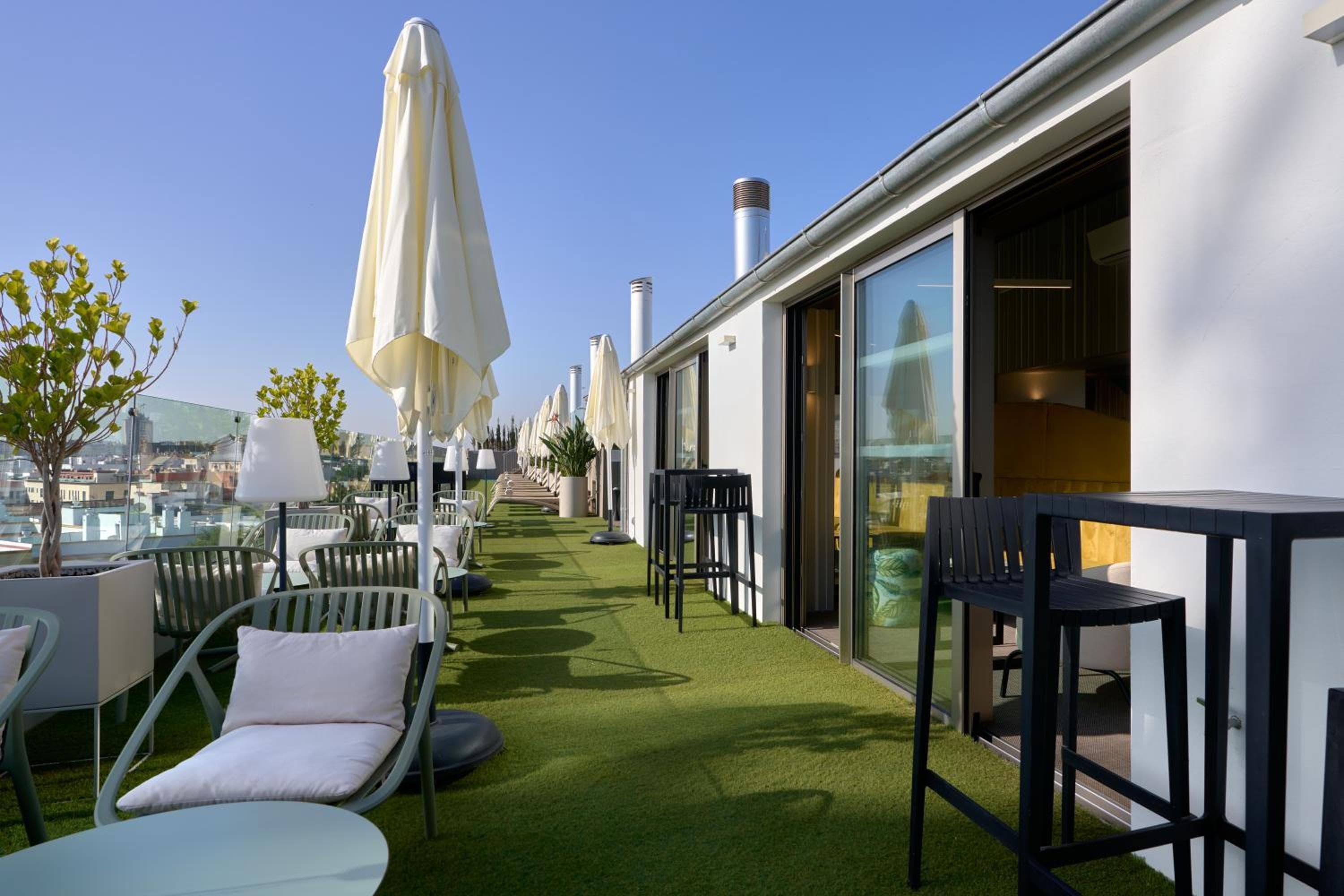Monte Triana — 14