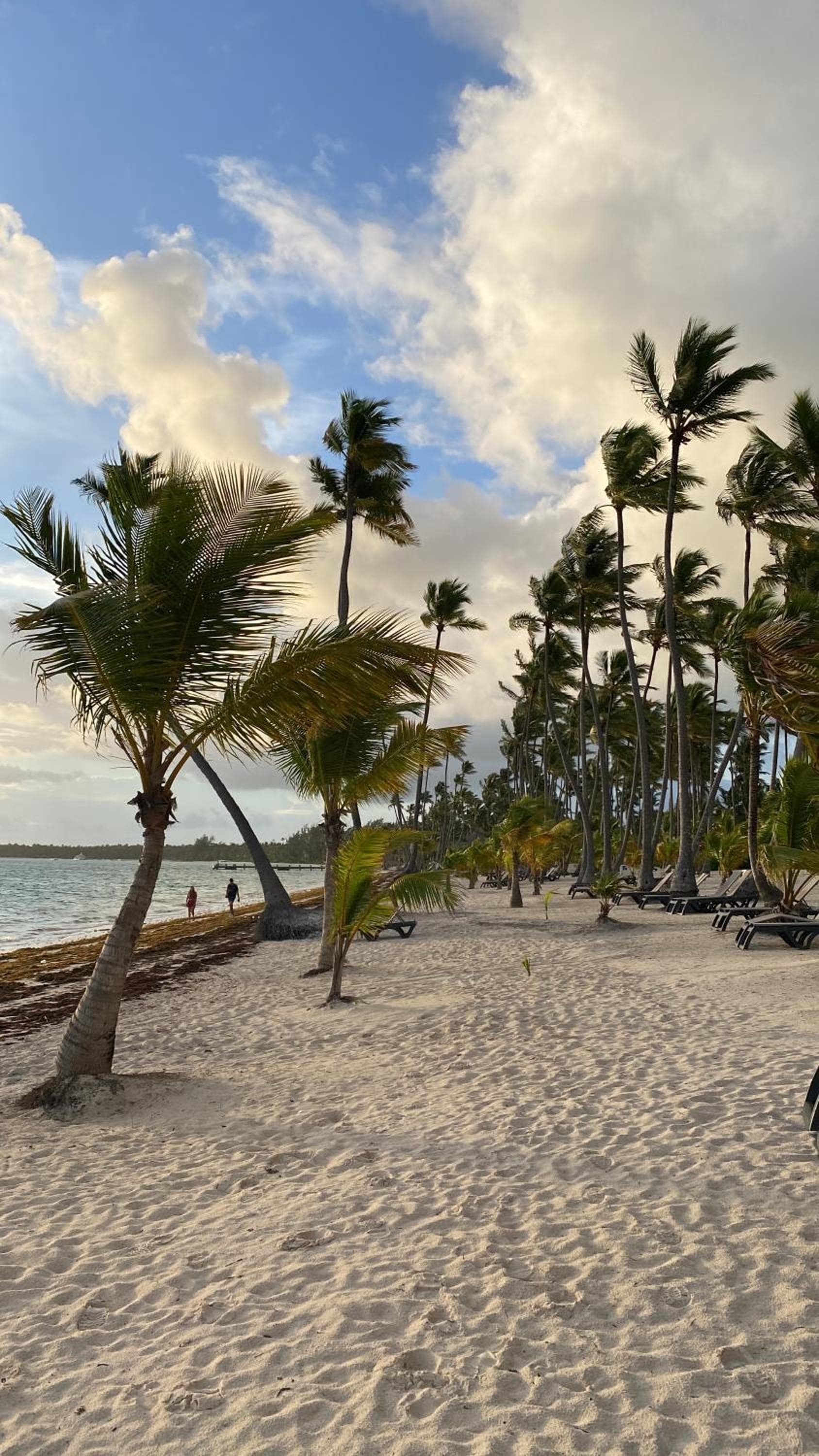 Beautiful Place in los Corales bavaro — 30