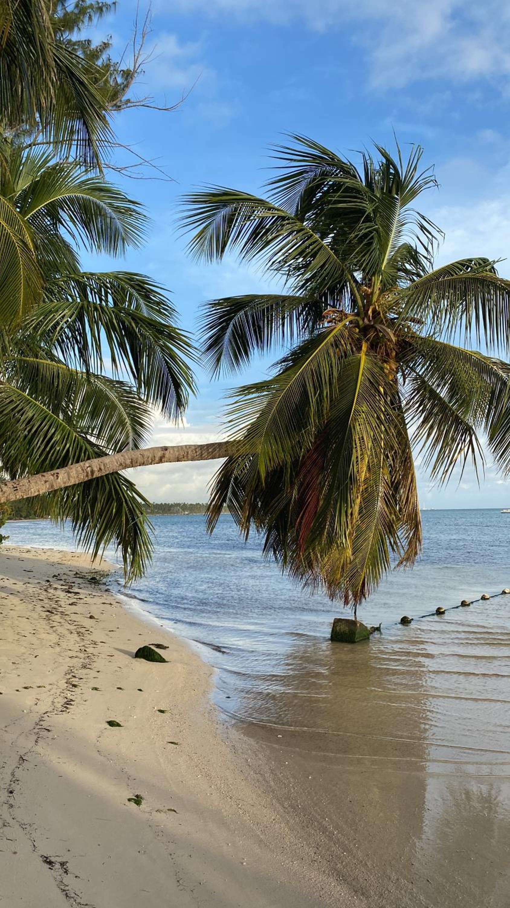 Beautiful Place in los Corales bavaro — 16