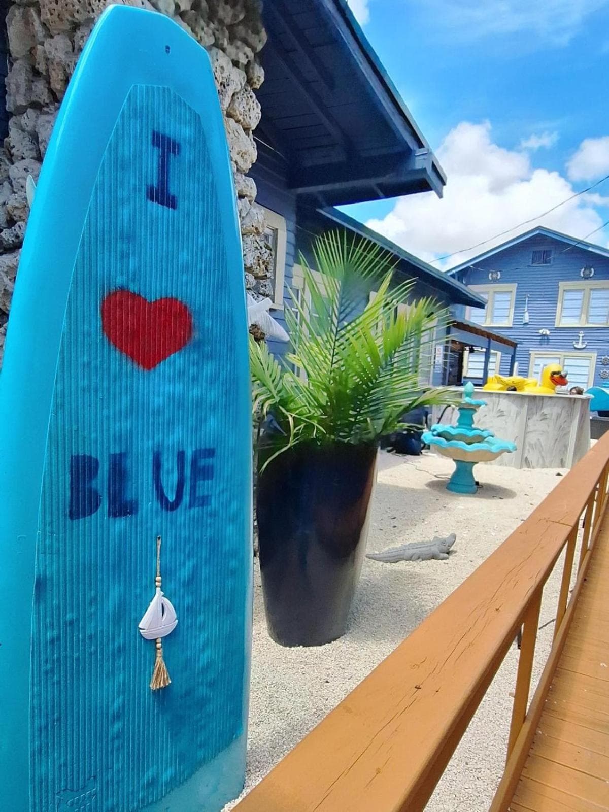Blauer Little Havana — 10