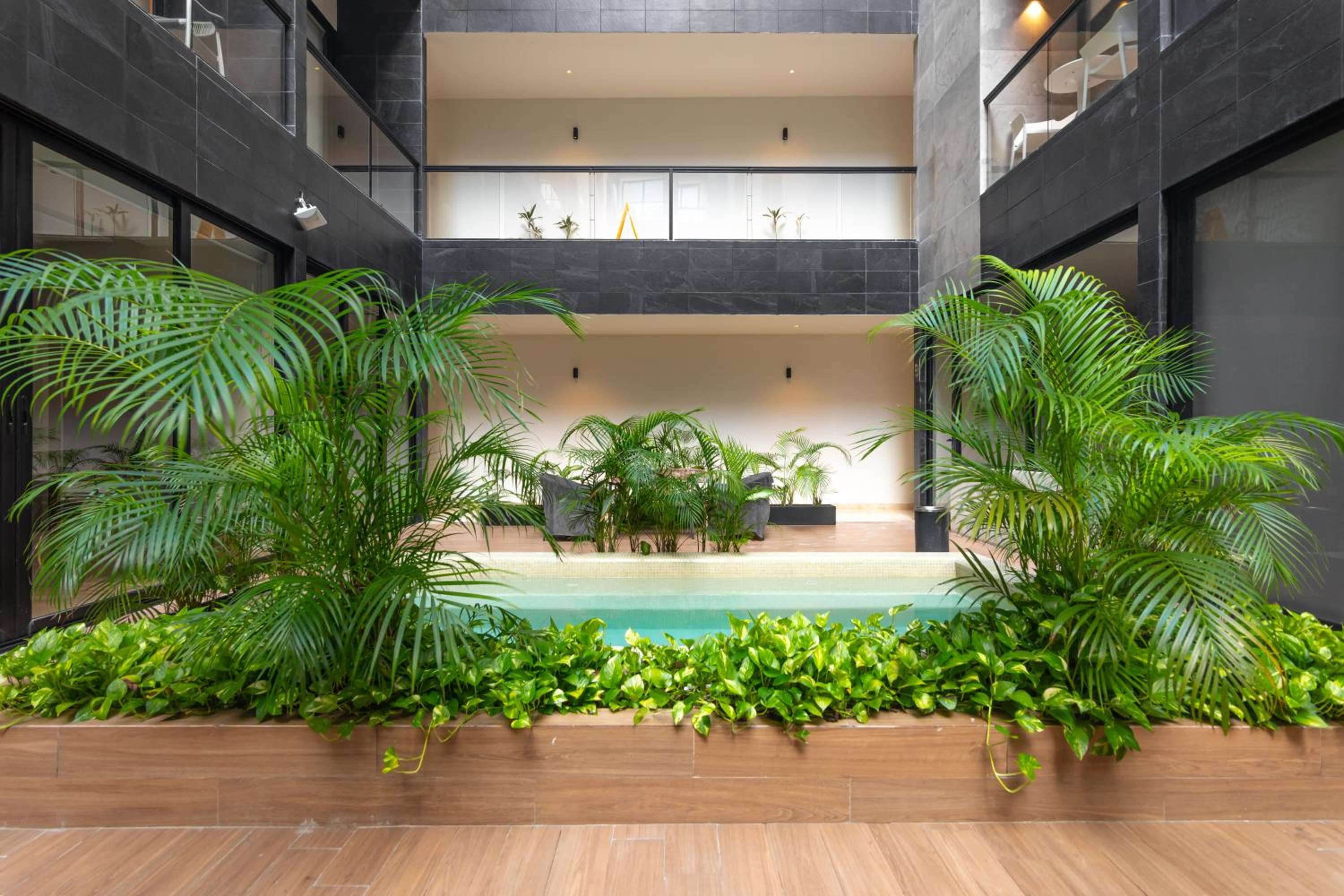 Musa del Carmen By Boutique Apartments MX — 20