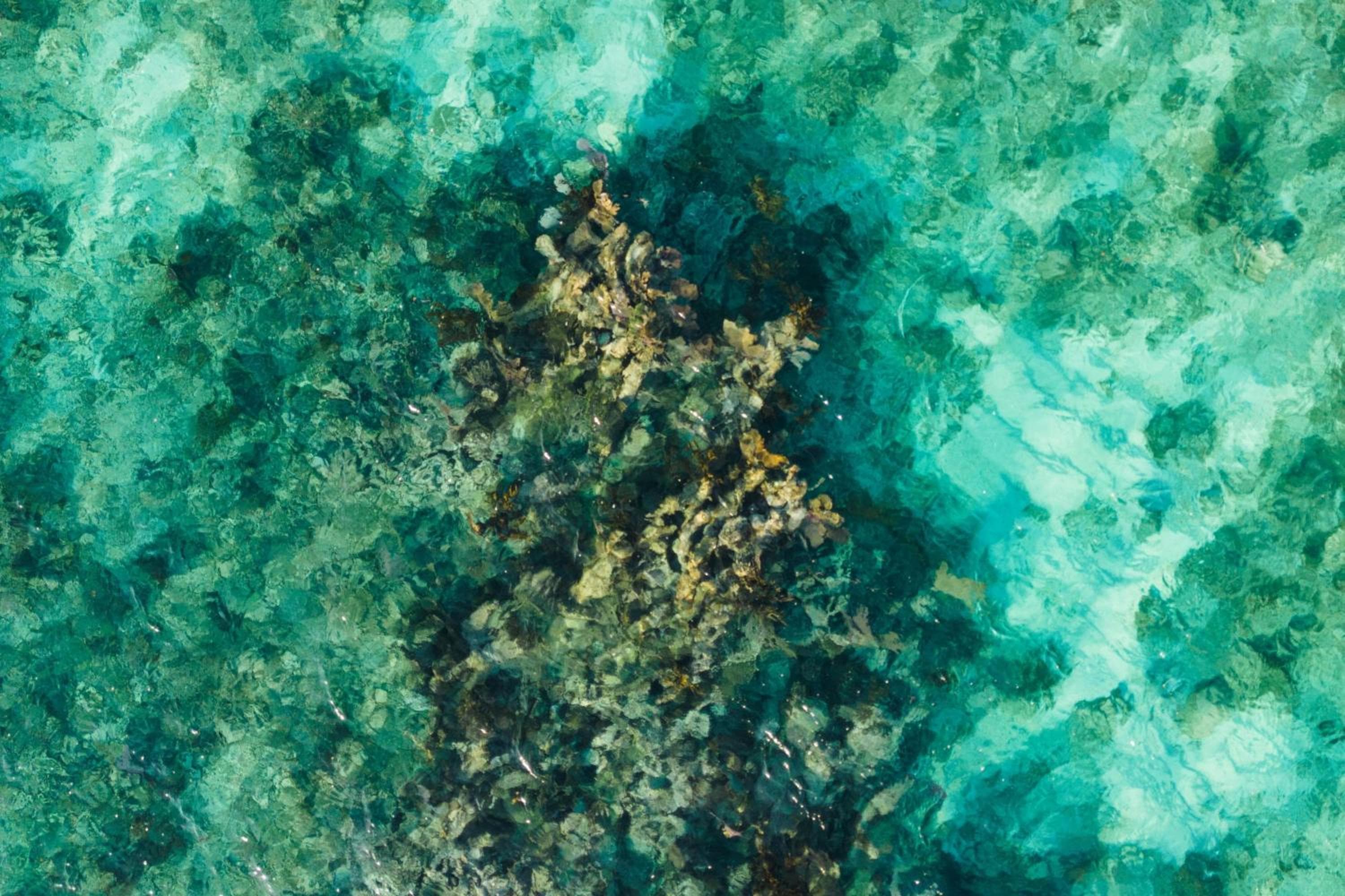 The St. Regis Kanai Resort, Riviera Maya — 28