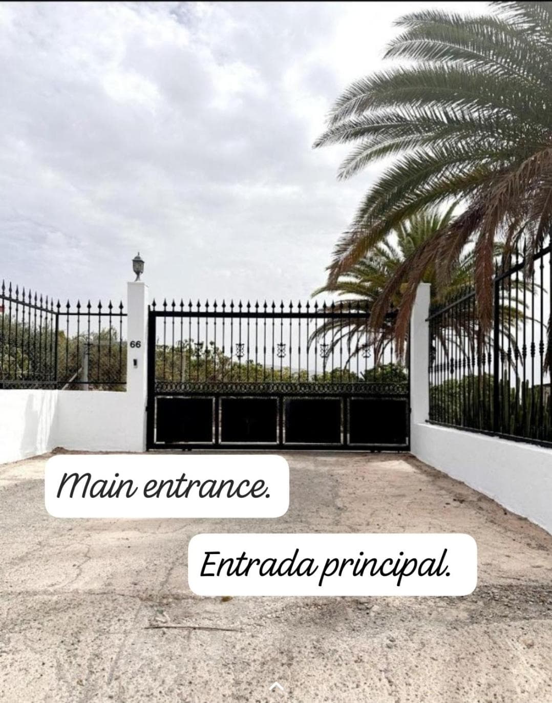 The Black Horse Canarias - Adults Only — 4