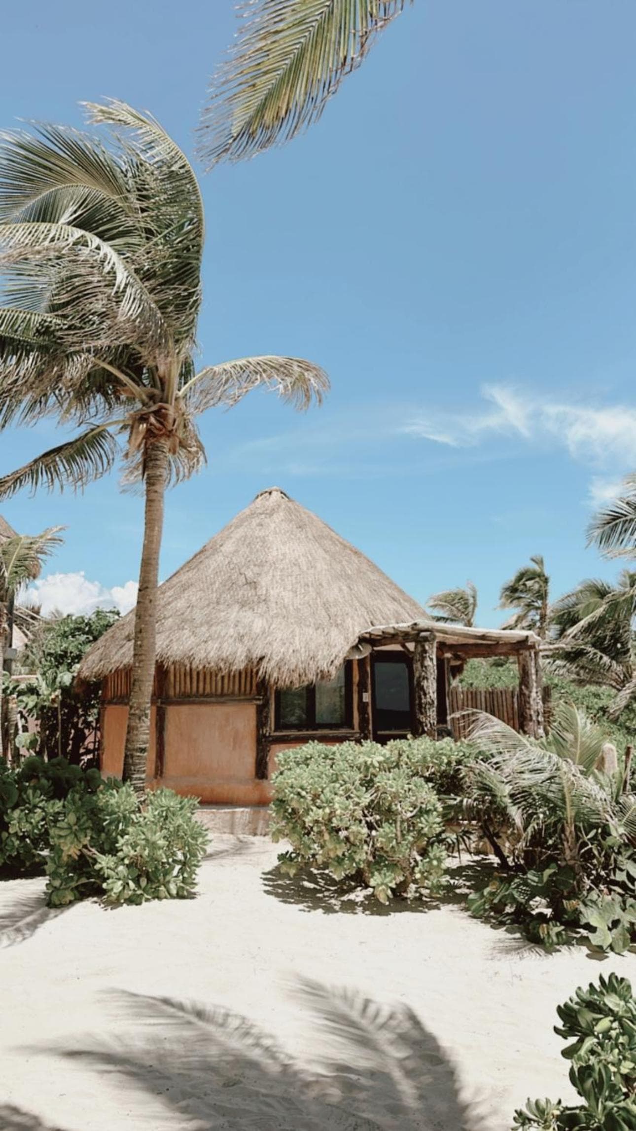 La Conchita Tulum — 30